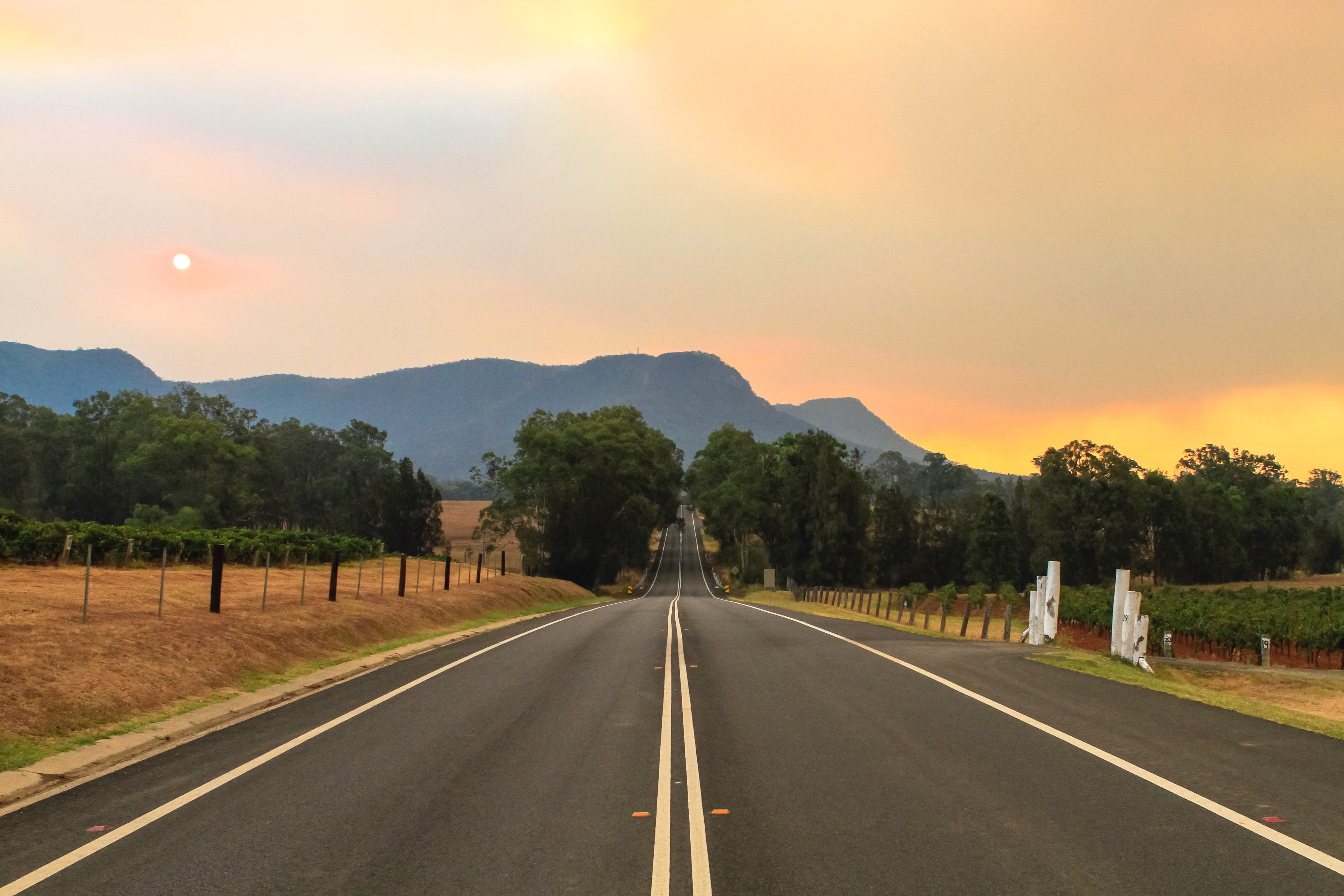 empty road between brown fields with green trees, mountain, sky