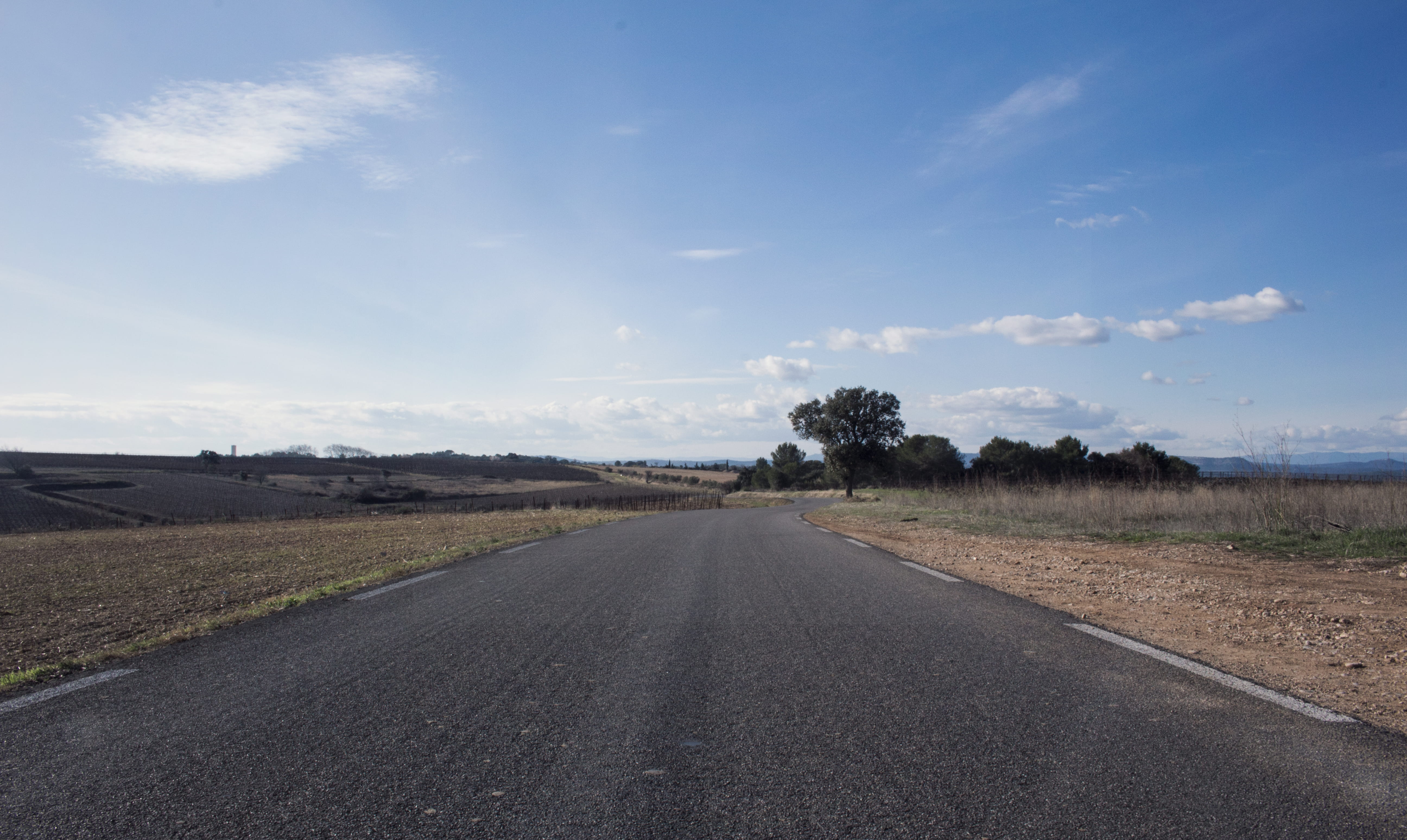road, sky, tree, the way forward, transportation, direction