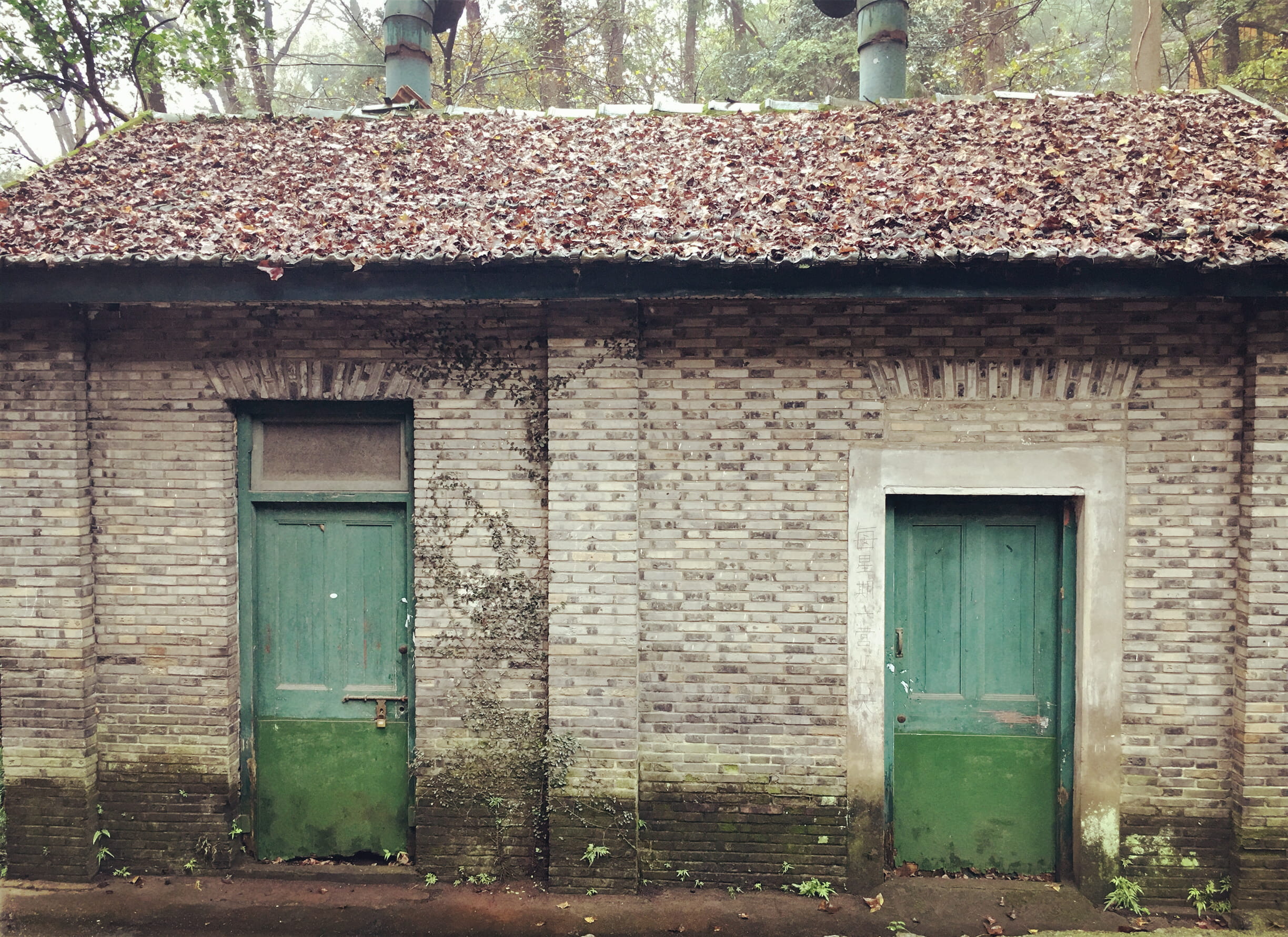 house, built structure, architecture, building exterior, entrance