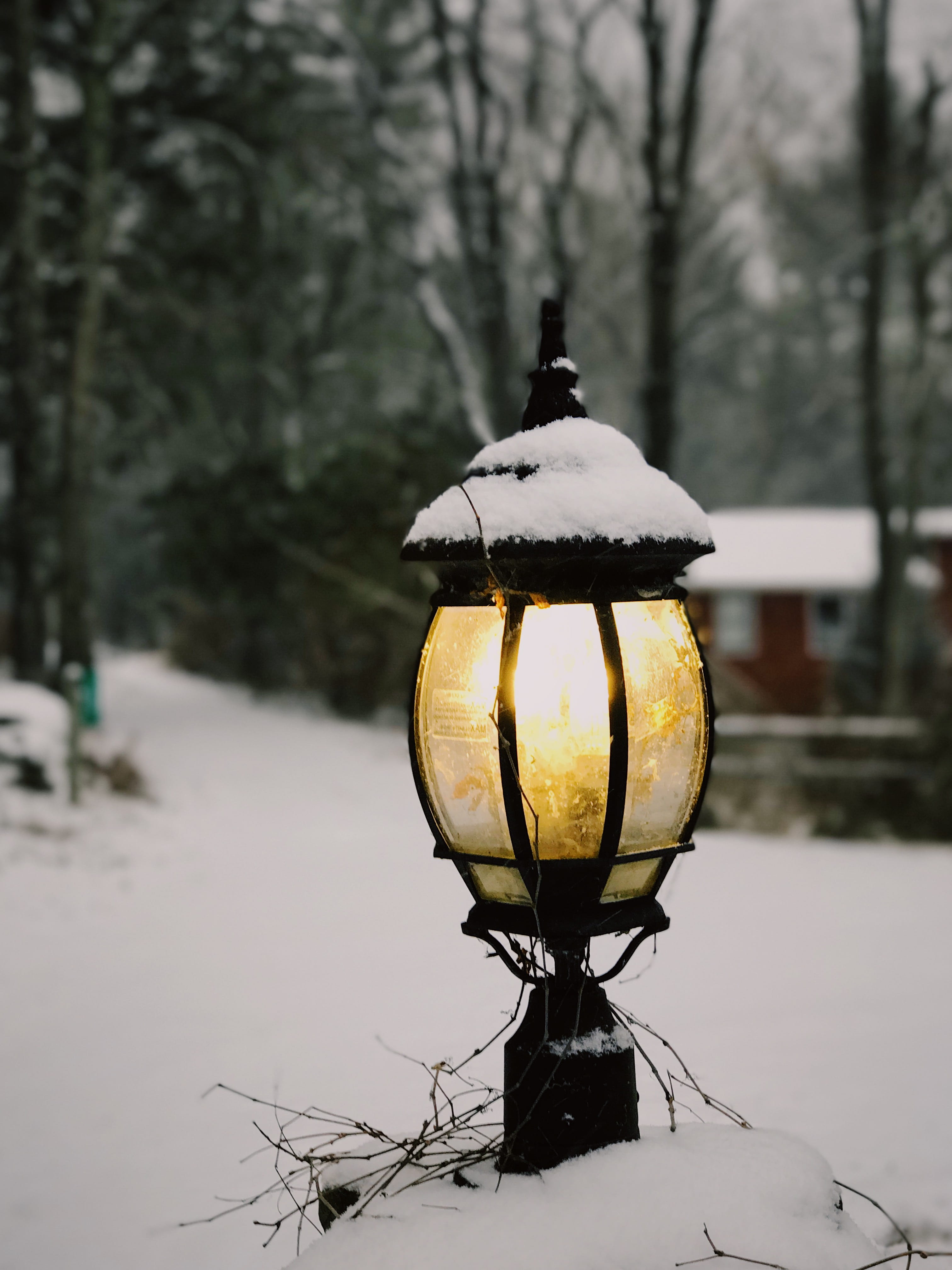 light, snow, cold temperature, focus on foreground, winter