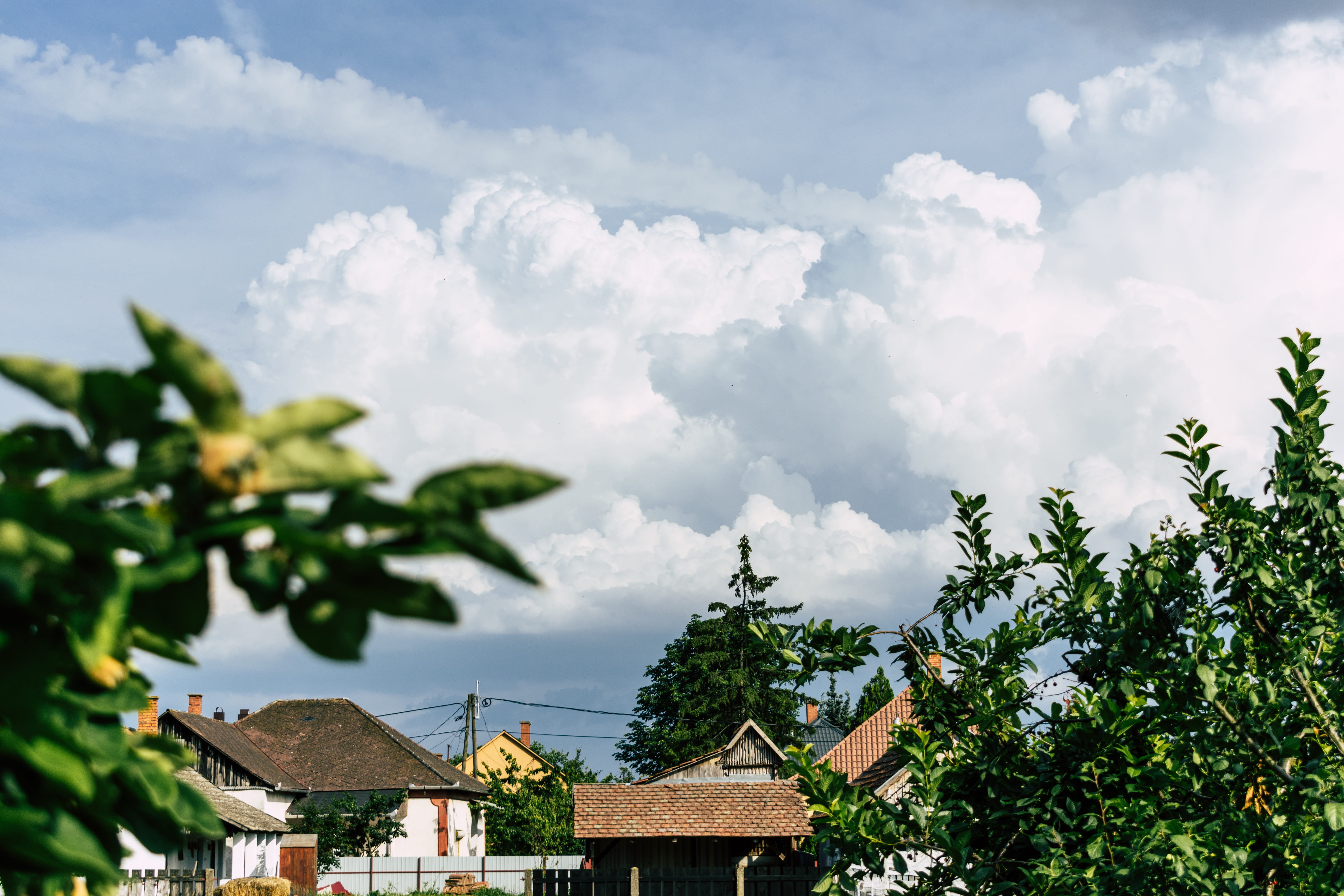 clouds, cloudy, focus, trees, built structure, cloud - sky