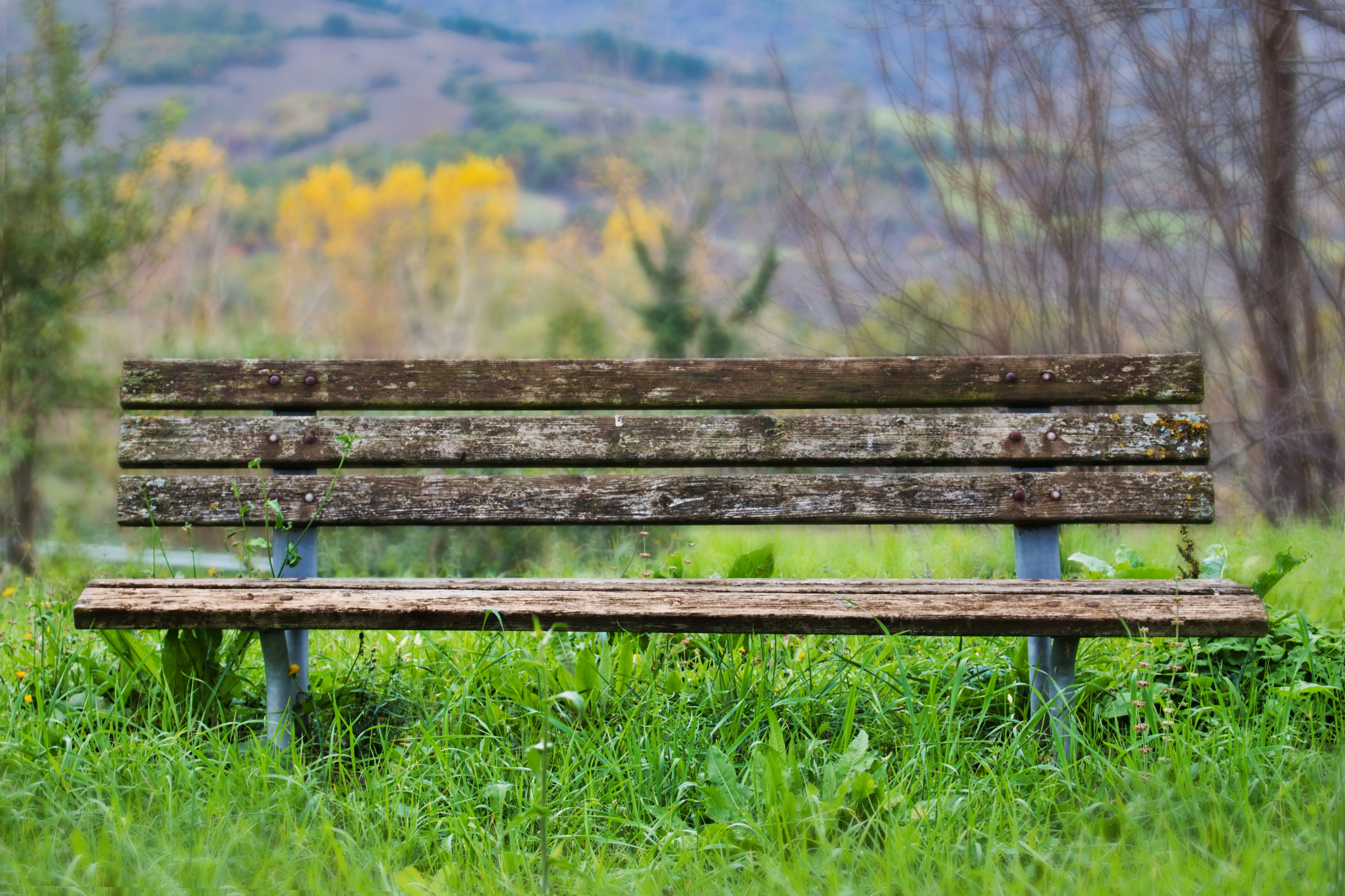 bench, wood, nature, seat, rest, out, silent, sit, benches
