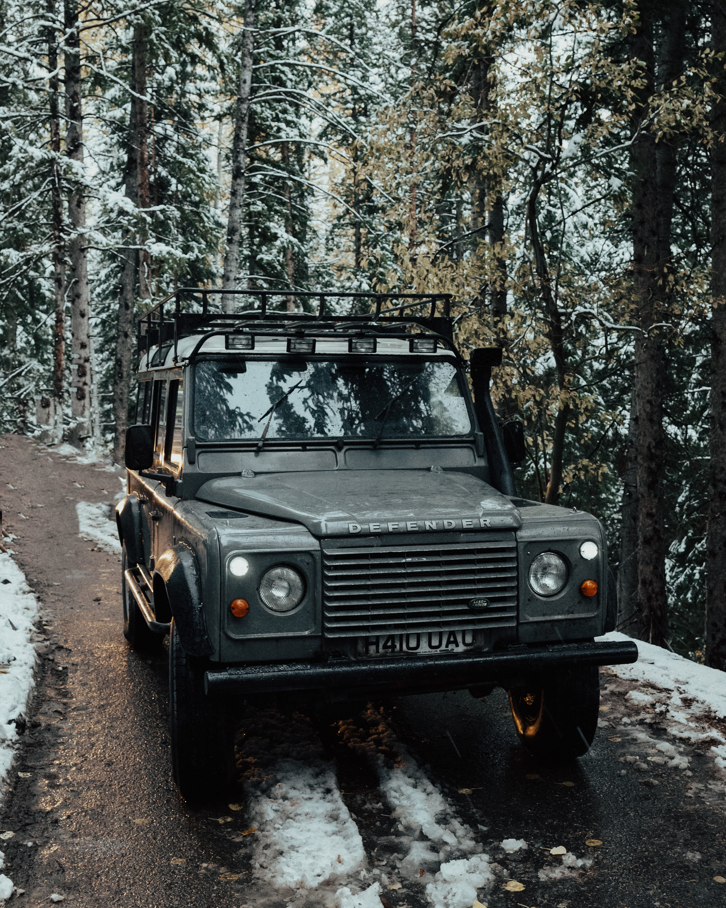 vehicle surround with trees, winter, land rover defender, fall