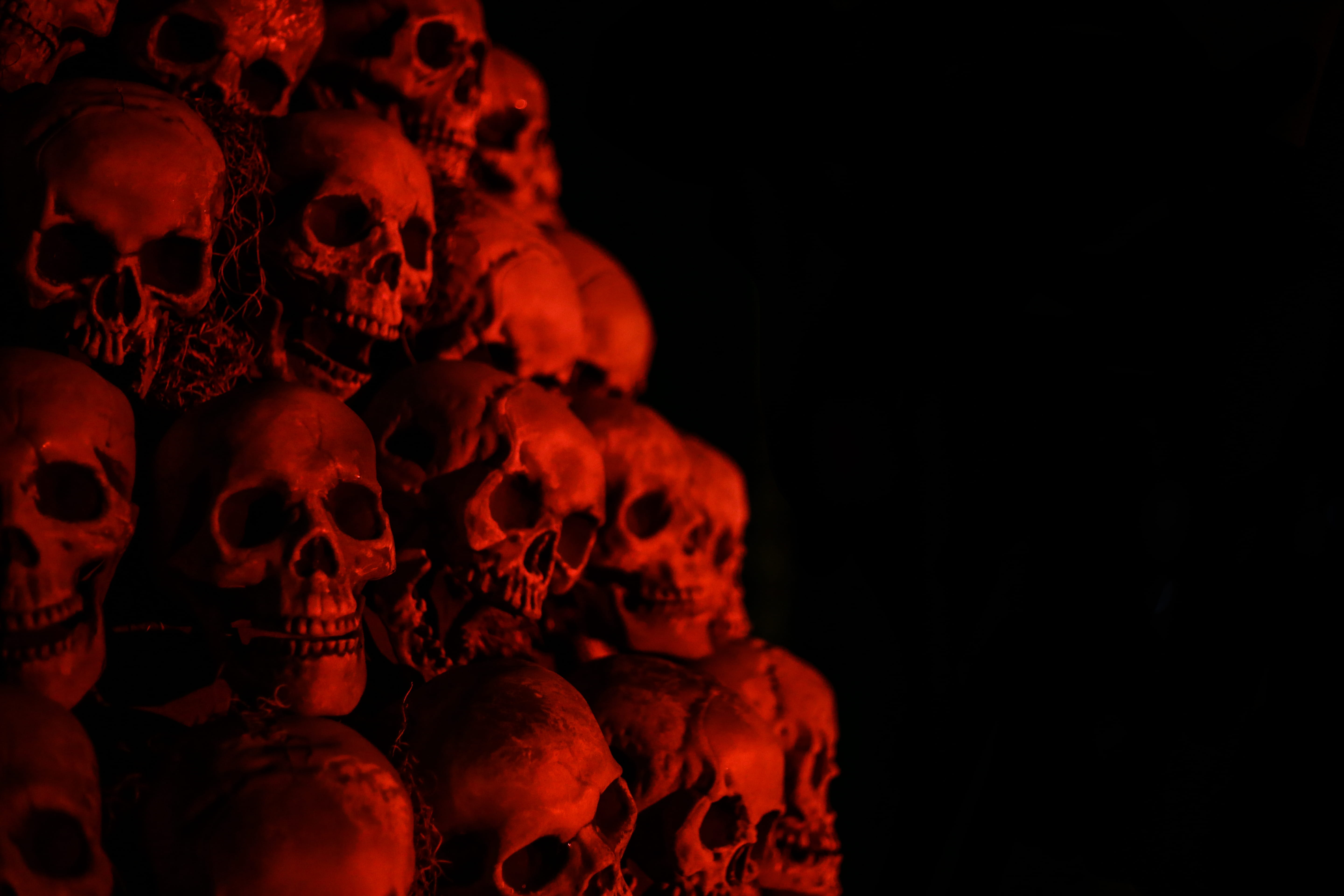 gray skull wallpaper, skulls, light, halloween, red, horror, eerie