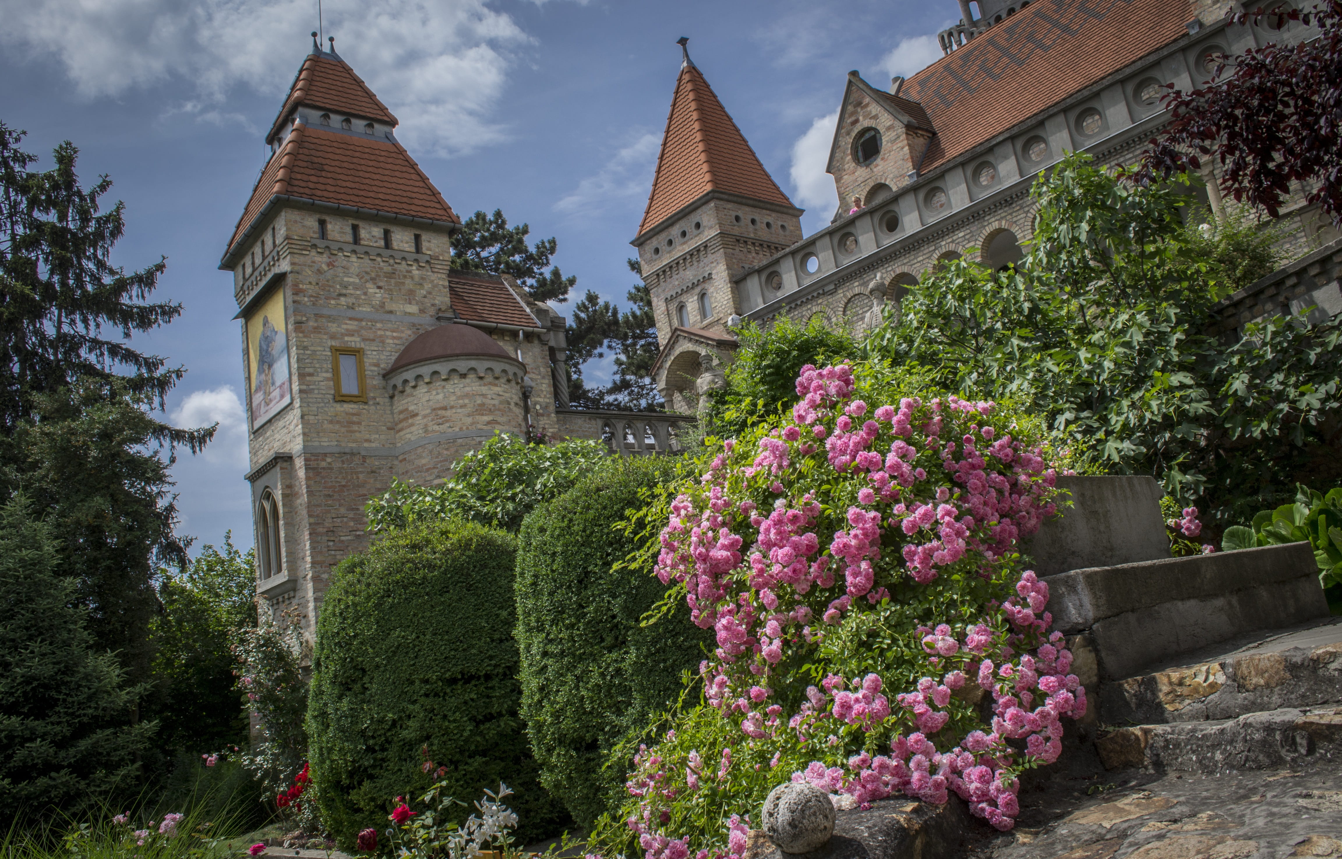 rose, architectural, castle, plant, architecture, built structure