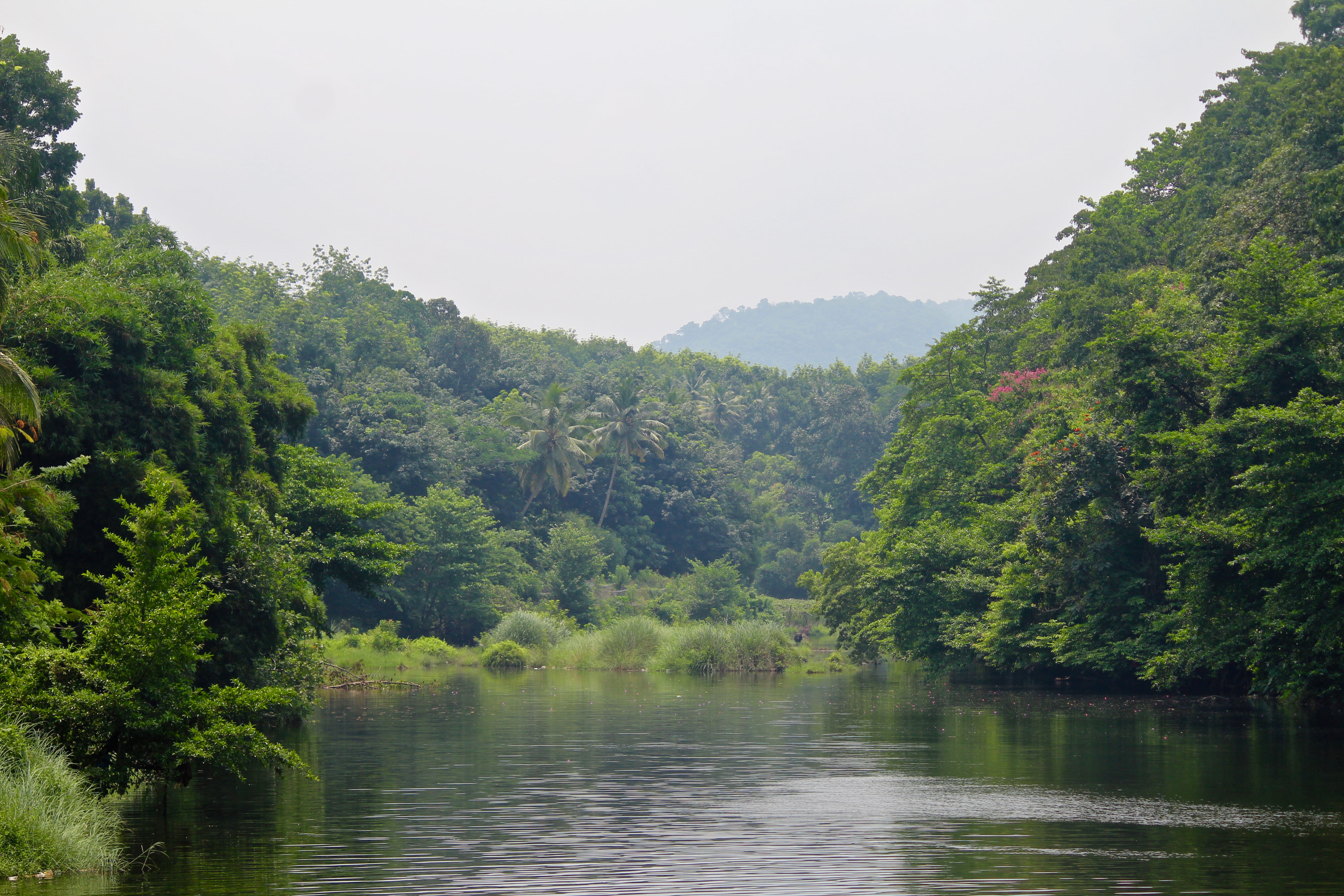 india, pamba - sabarimala road, nature, scenery, lake, backwater