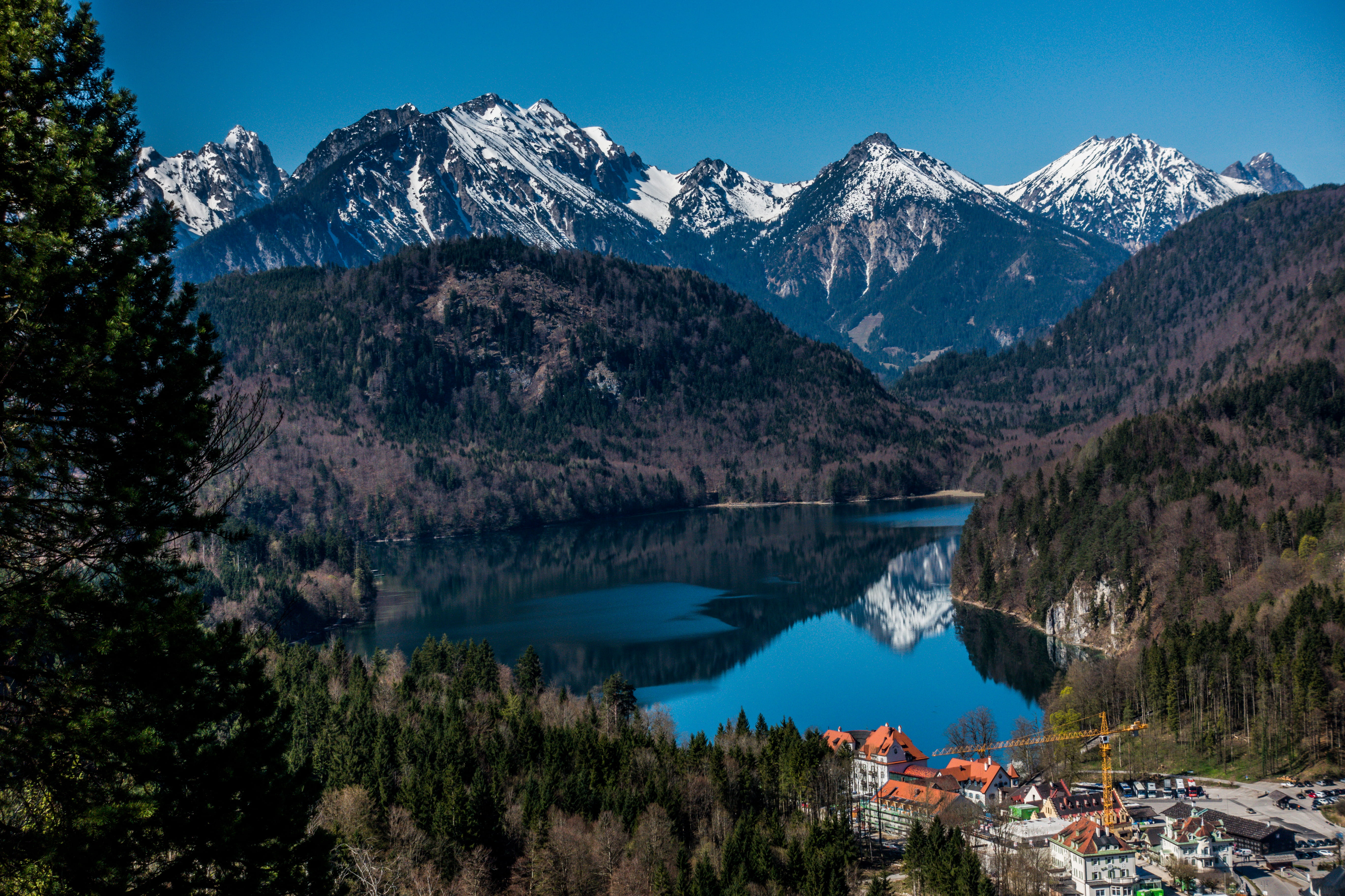 green-leafed trees, mountain, scenics - nature, mountain range