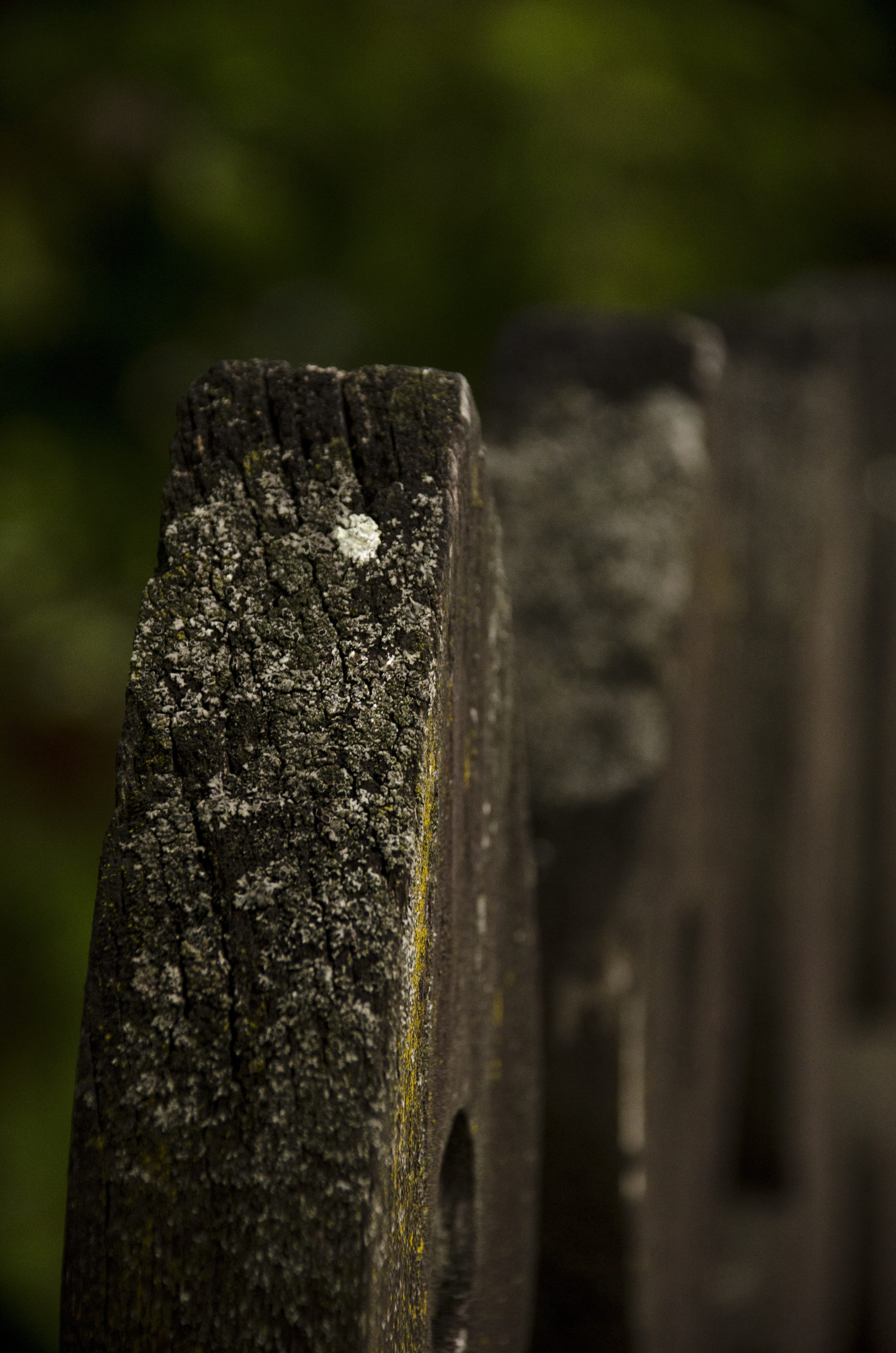 wood, material, textures, background, surface, pattern, old