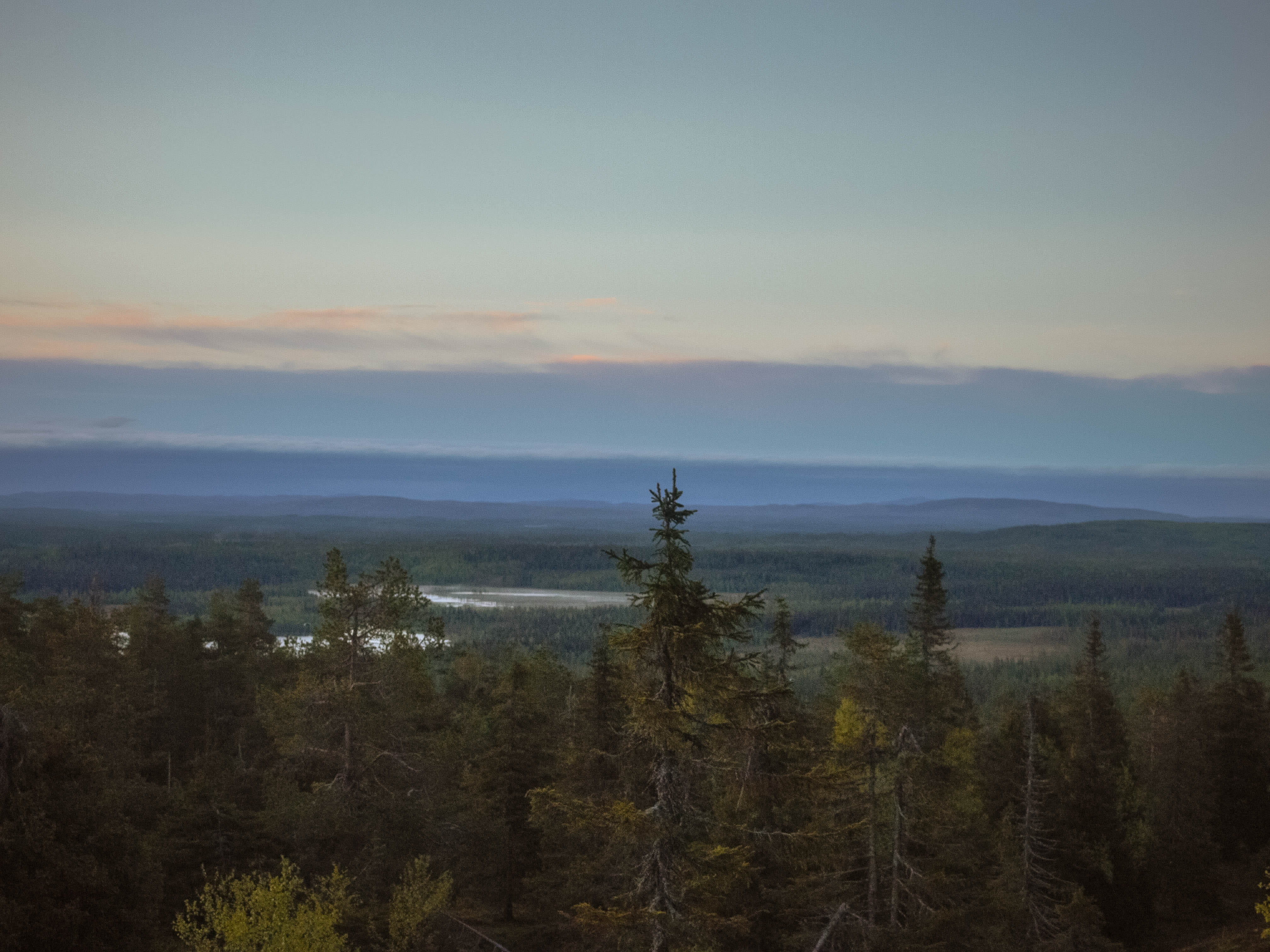 finland, kuusamo, trees, fell, lapland, view, forest, midnight sun