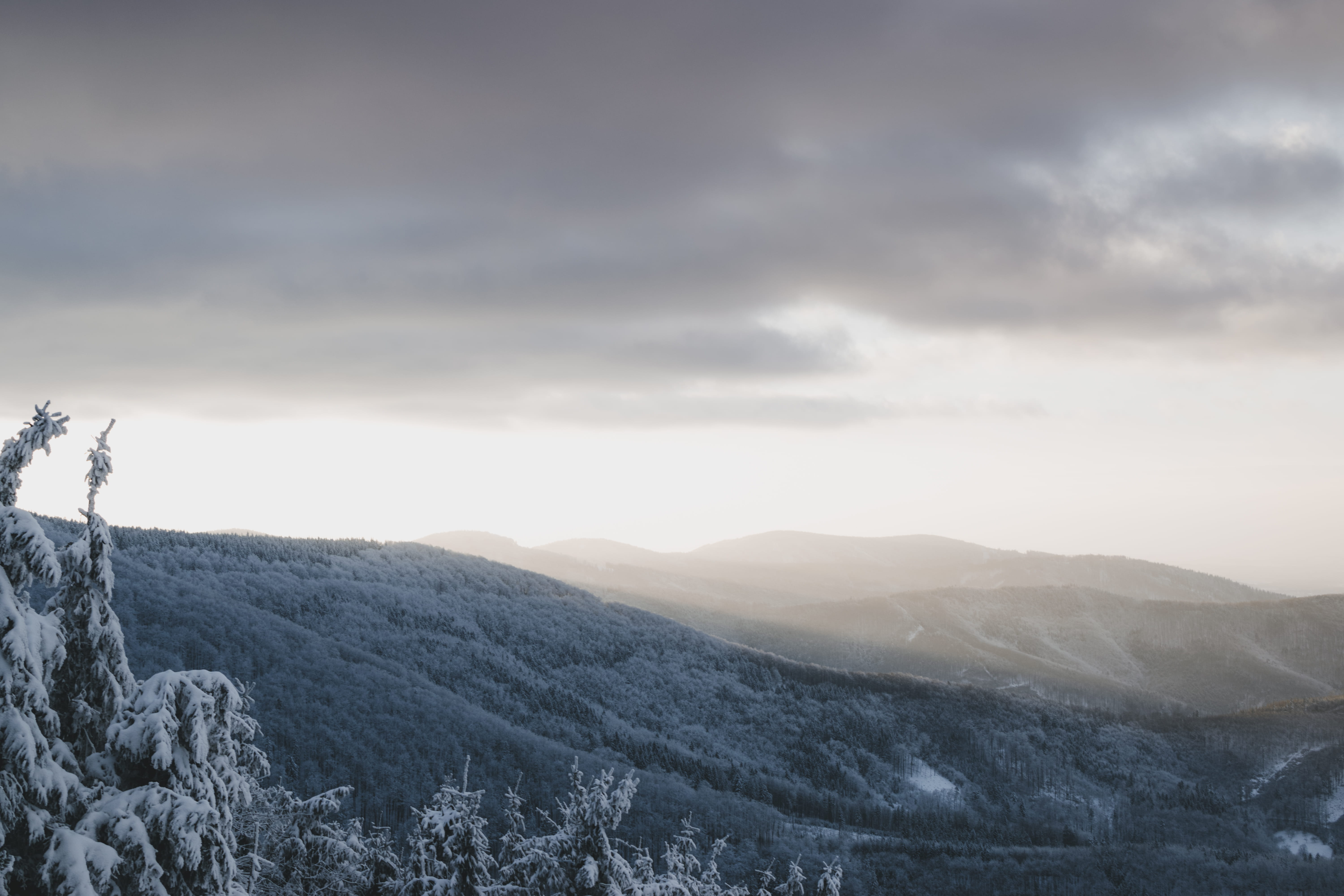 sunset, winter, wallpapers, mountains, nature, tree, trees