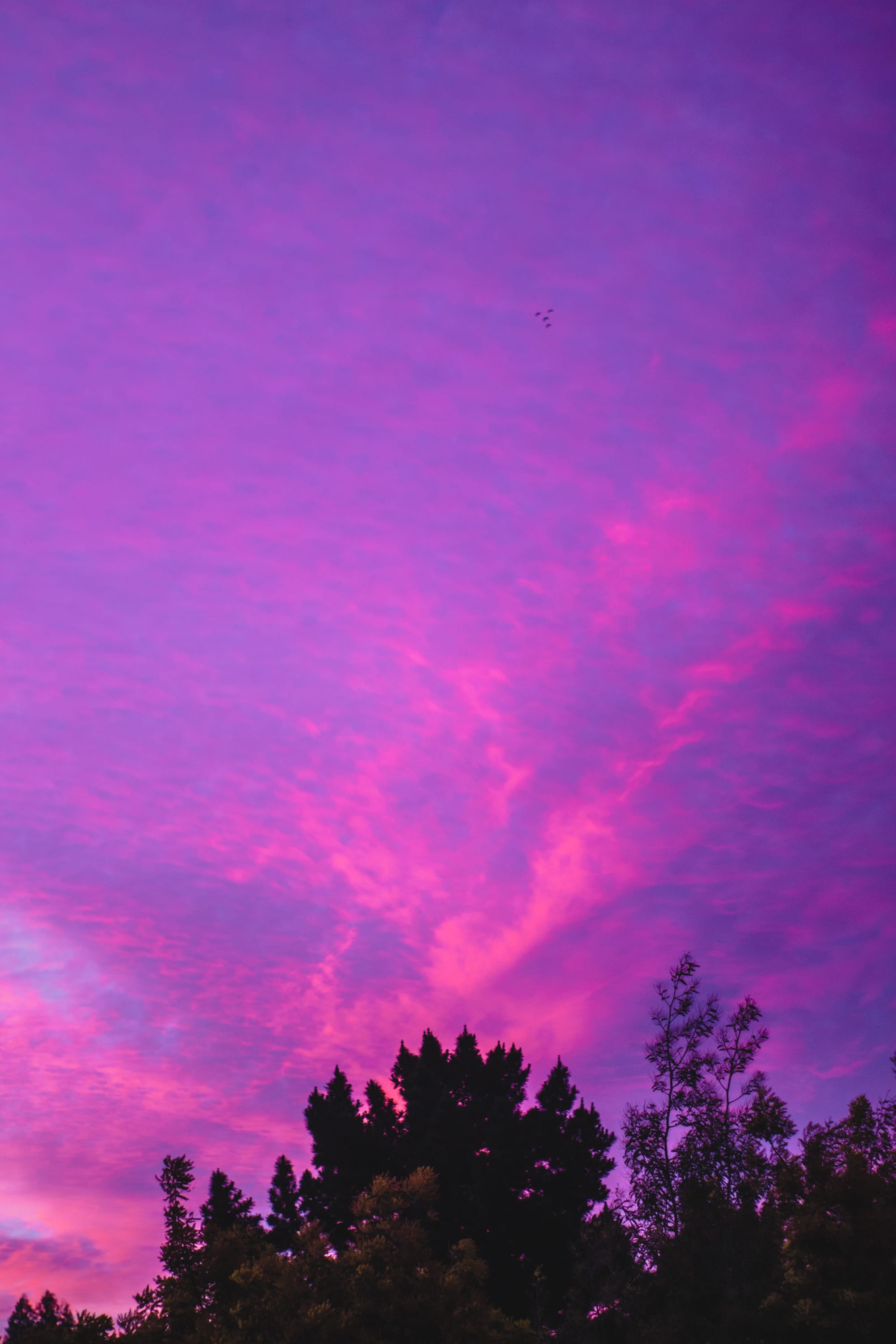 sky, pink sky, purple sky, clouds, pink clouds, afternoon sky