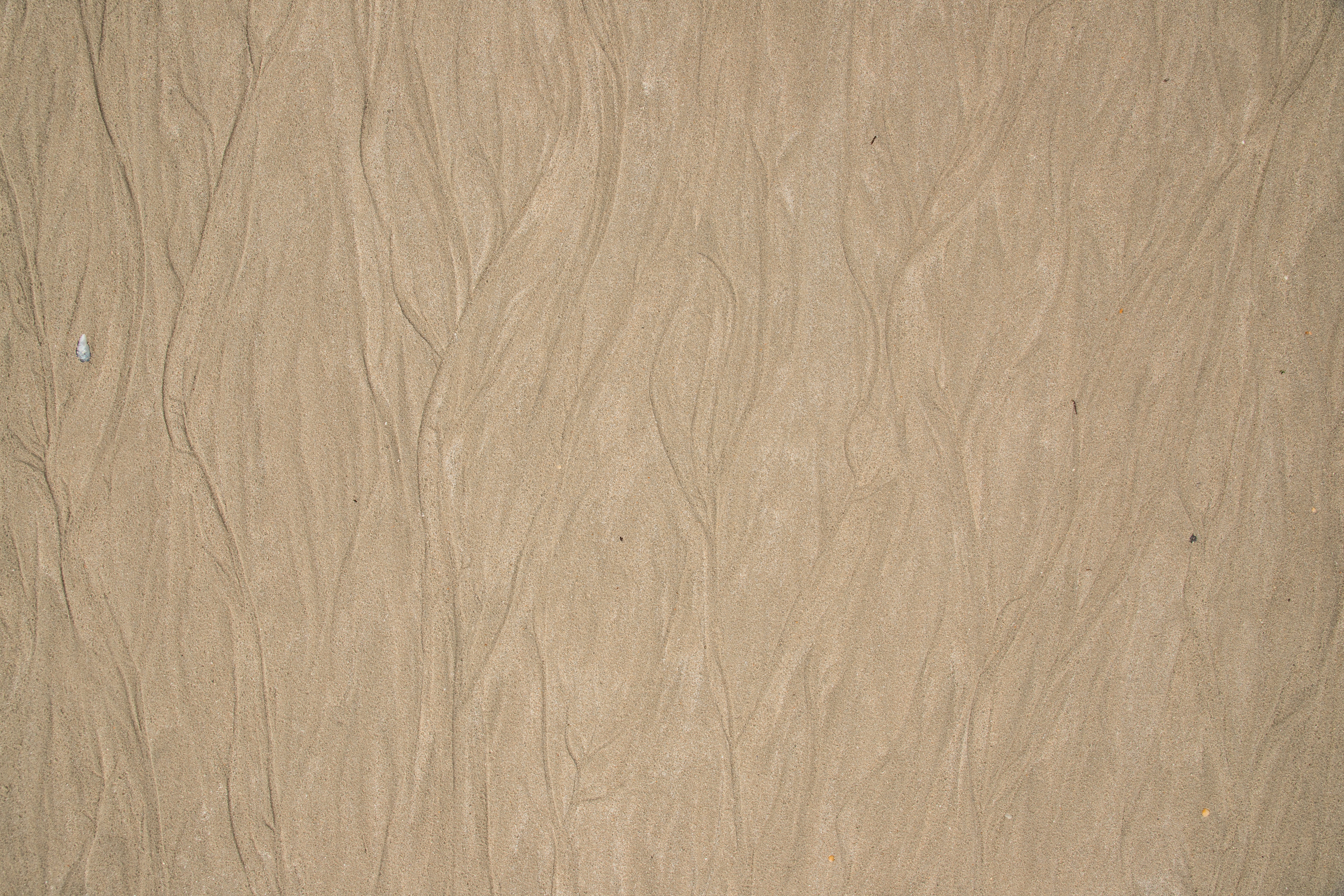 brown surface, backgrounds, pattern, textured, wood, no people