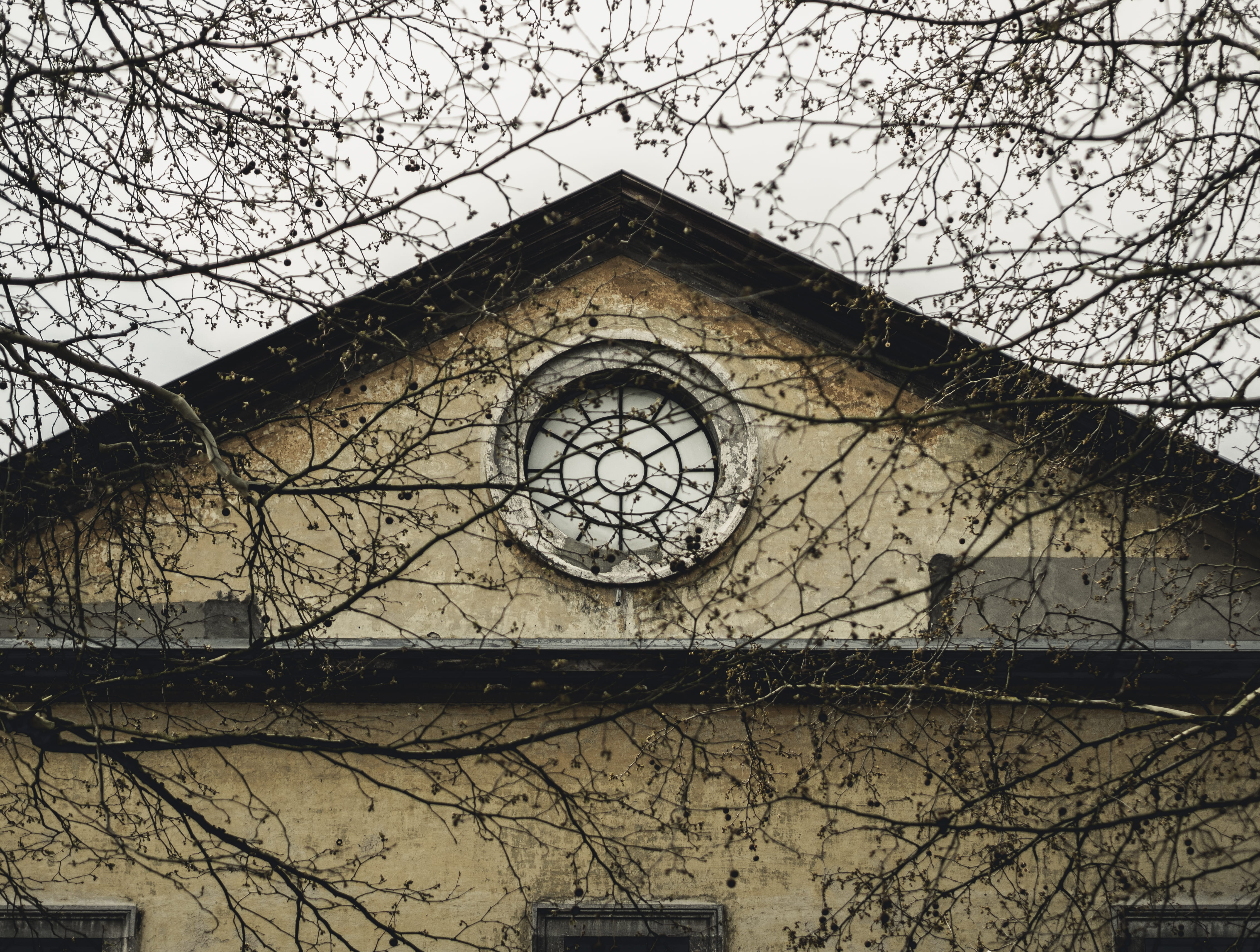 tower, architecture, clock tower, building, triangle, plant