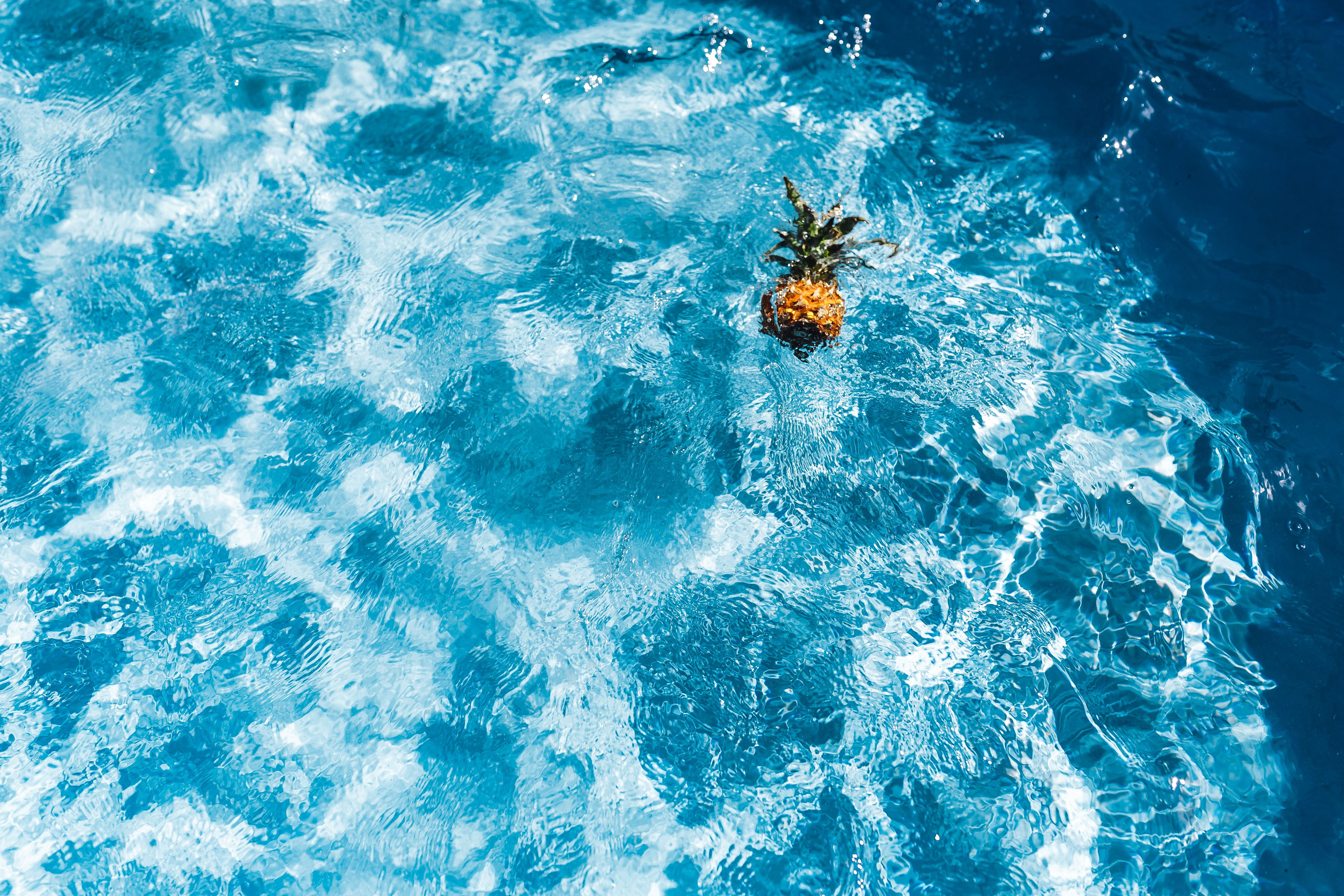 Pineapple in a swimming pool, day, summer, water, copyspace, fruits