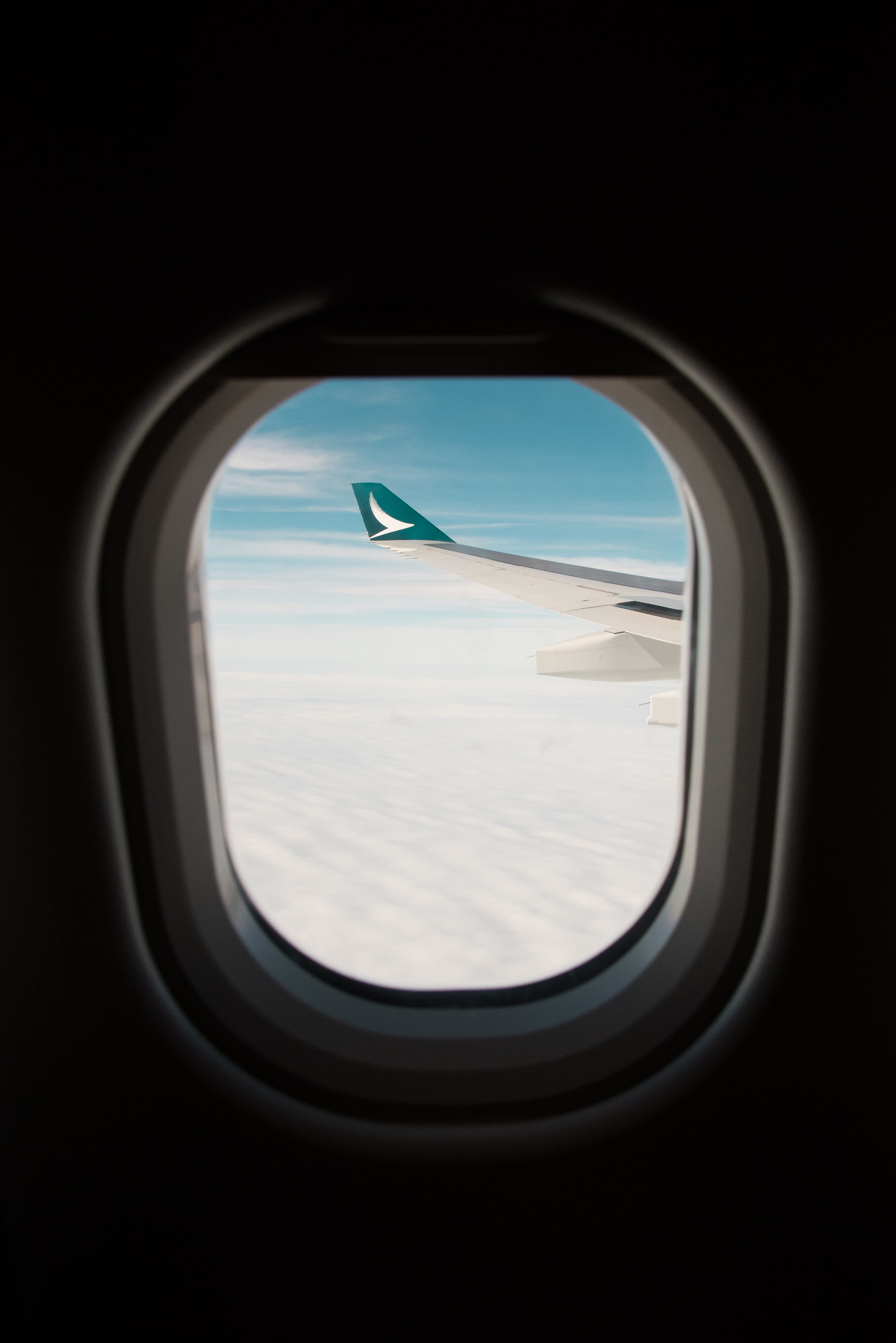 airplane window, porthole, flight, travel, wings, window pane