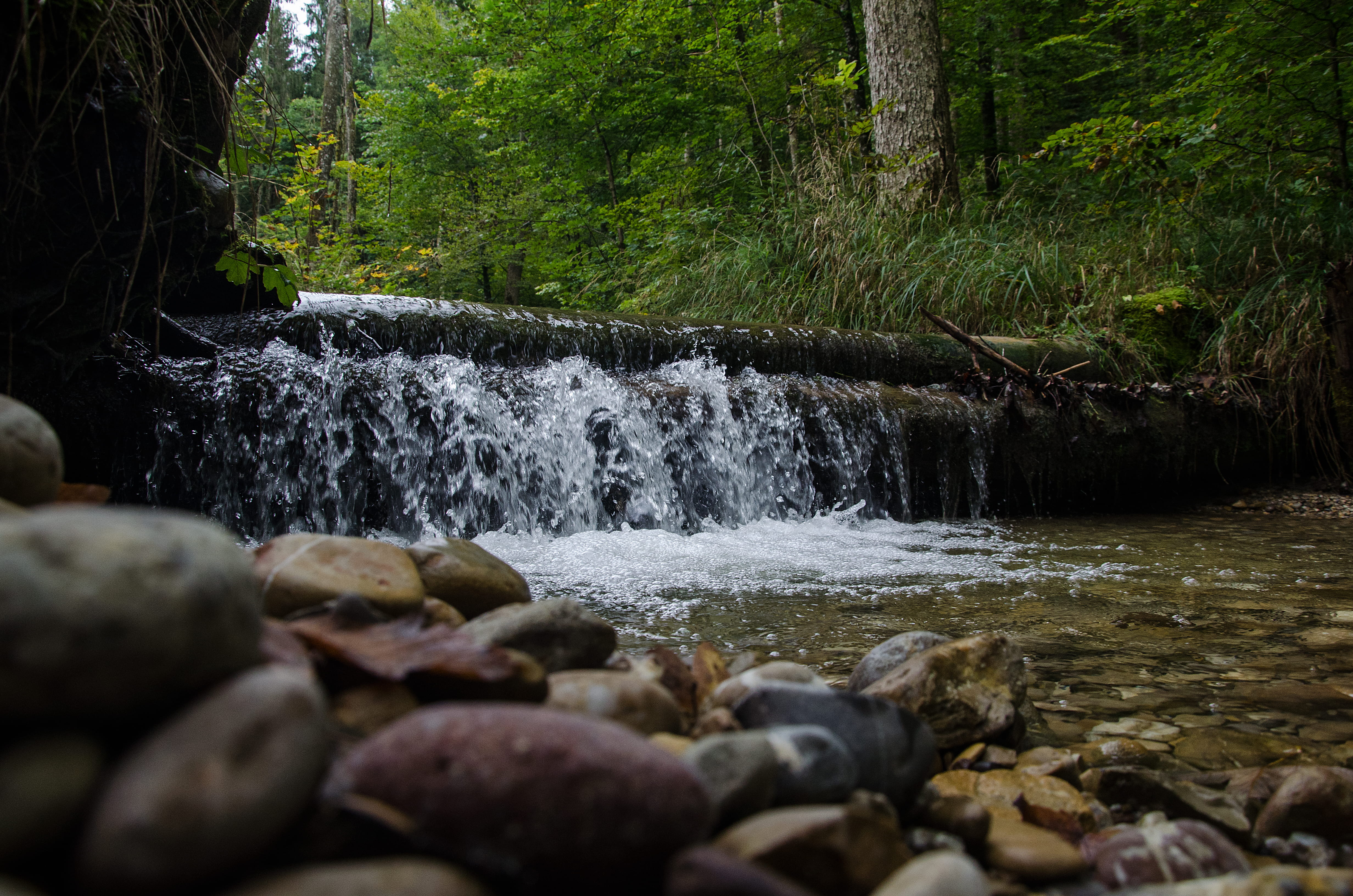 waterfall, small, stream, river, drops, stones, forest, tree