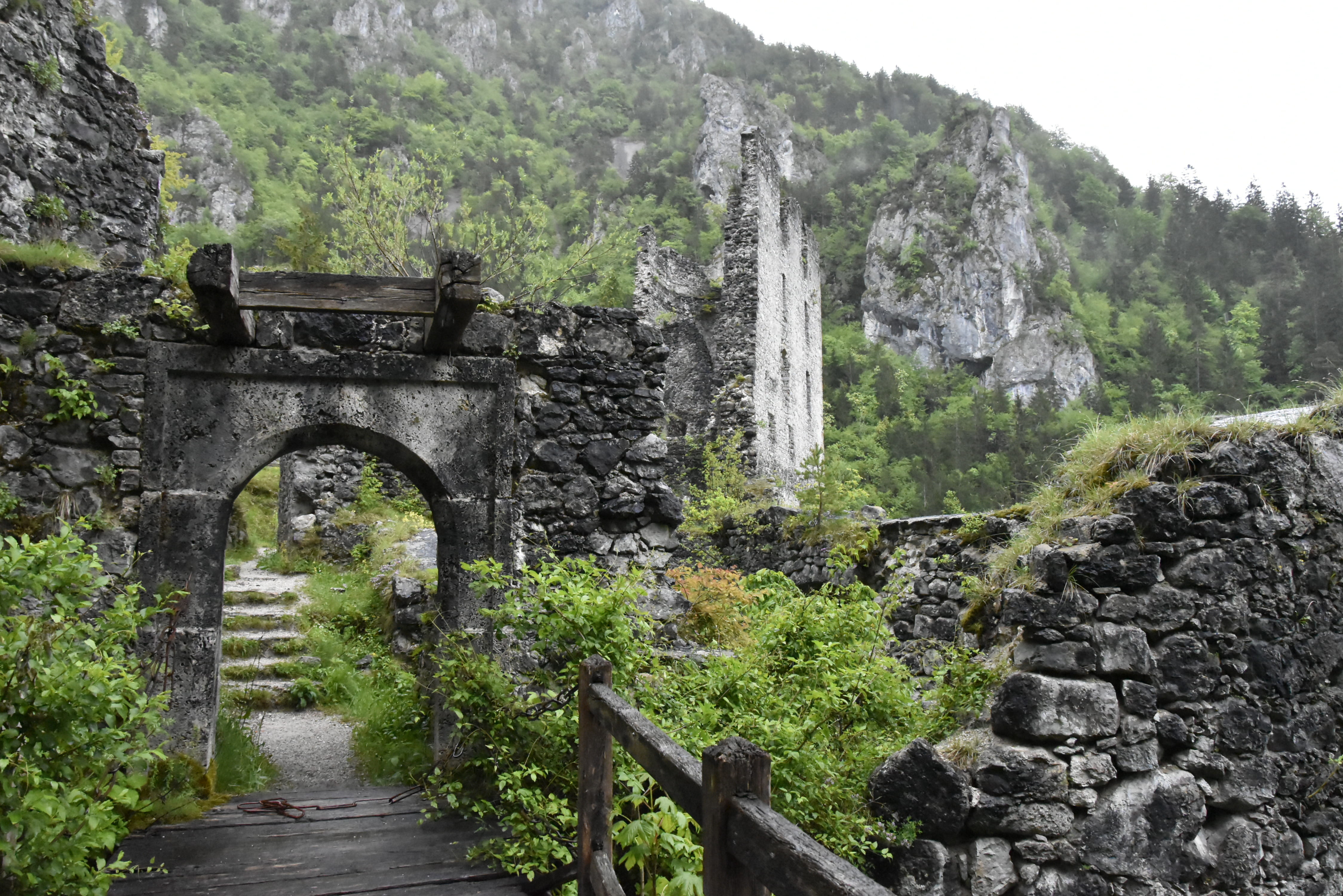 castle, architecture, built structure, history, plant, the past