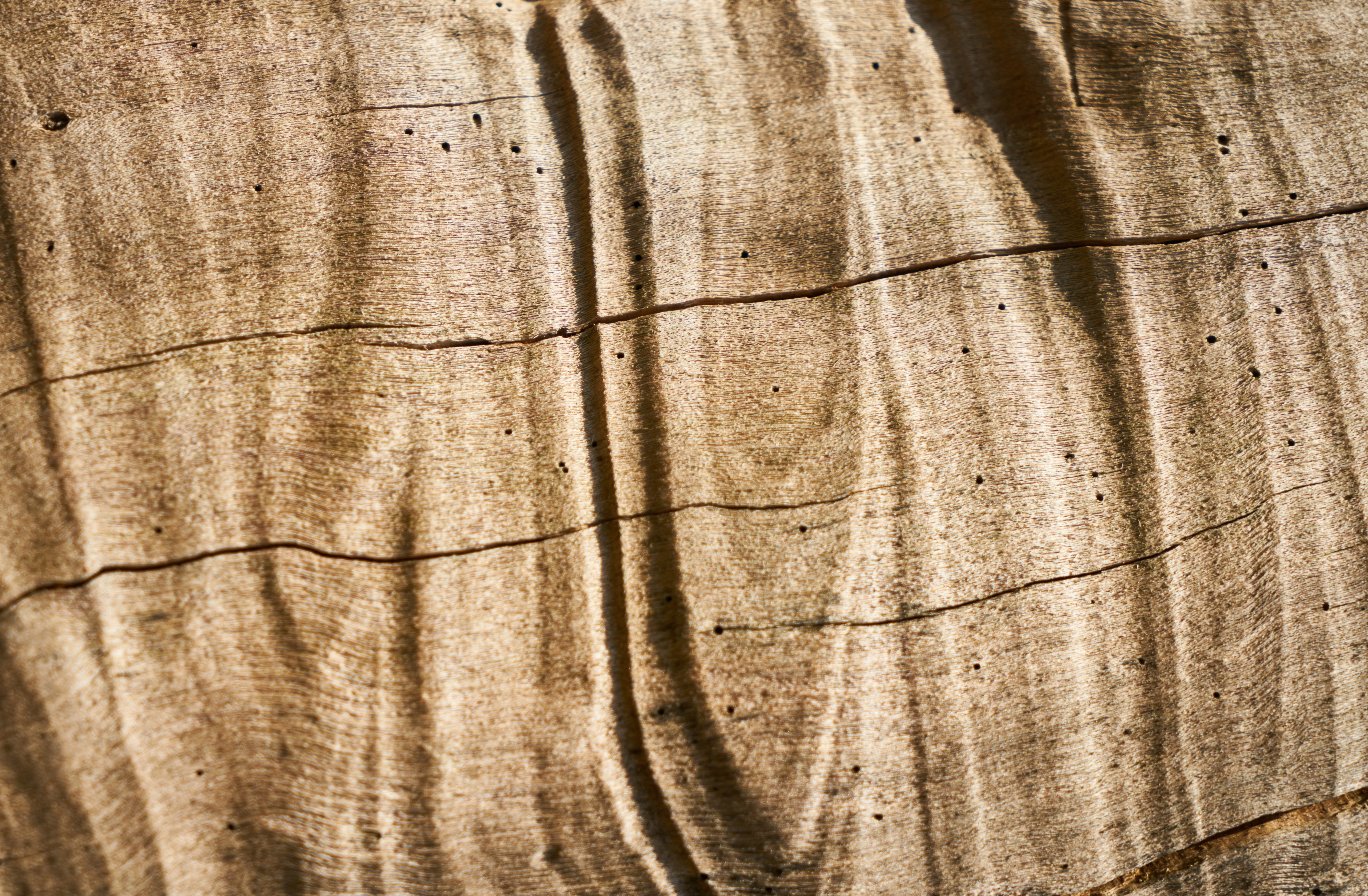 wood, timber, texture, tree, pattern, old, carpentry, natural