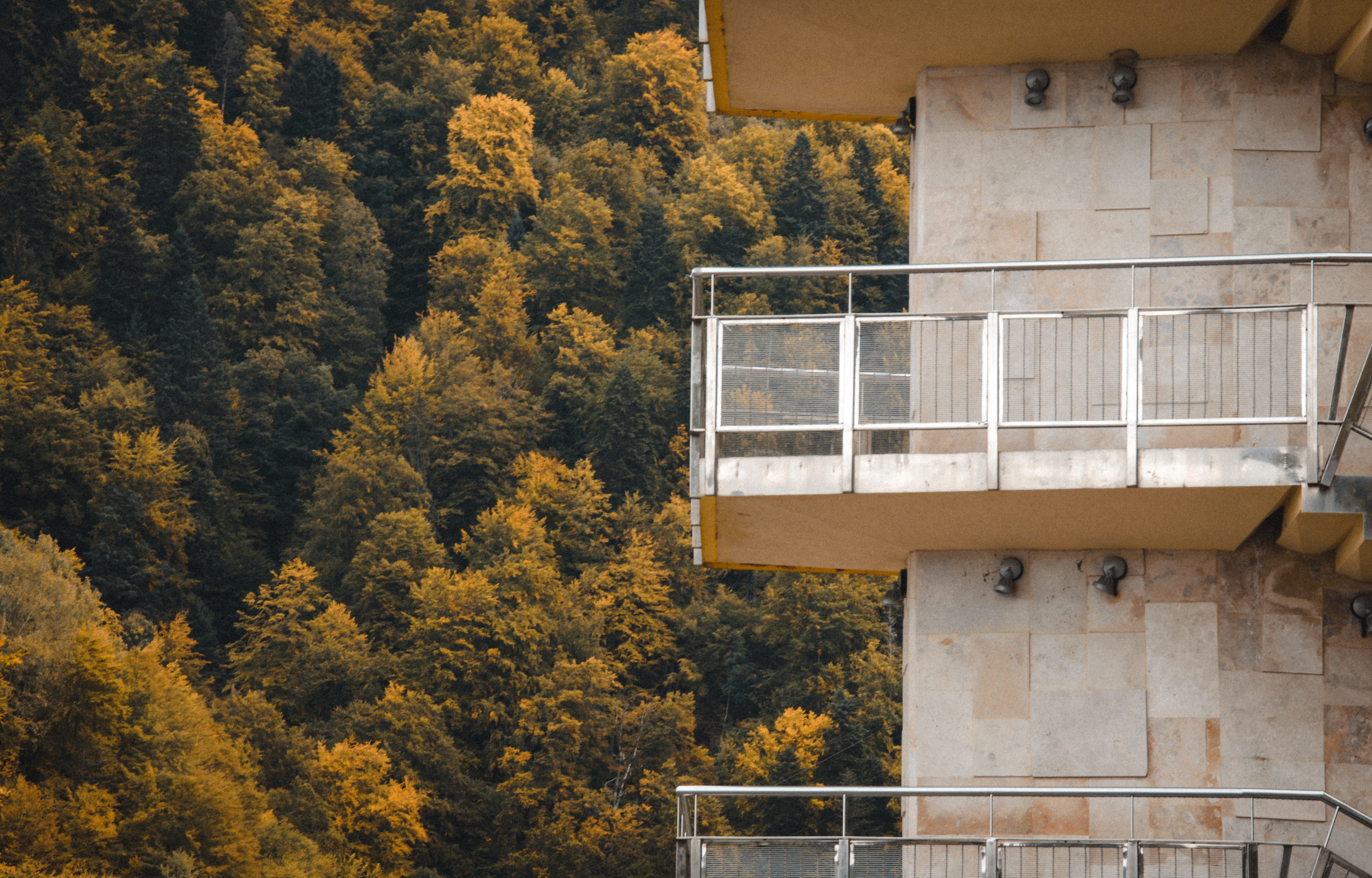 tree, plant, architecture, built structure, building exterior