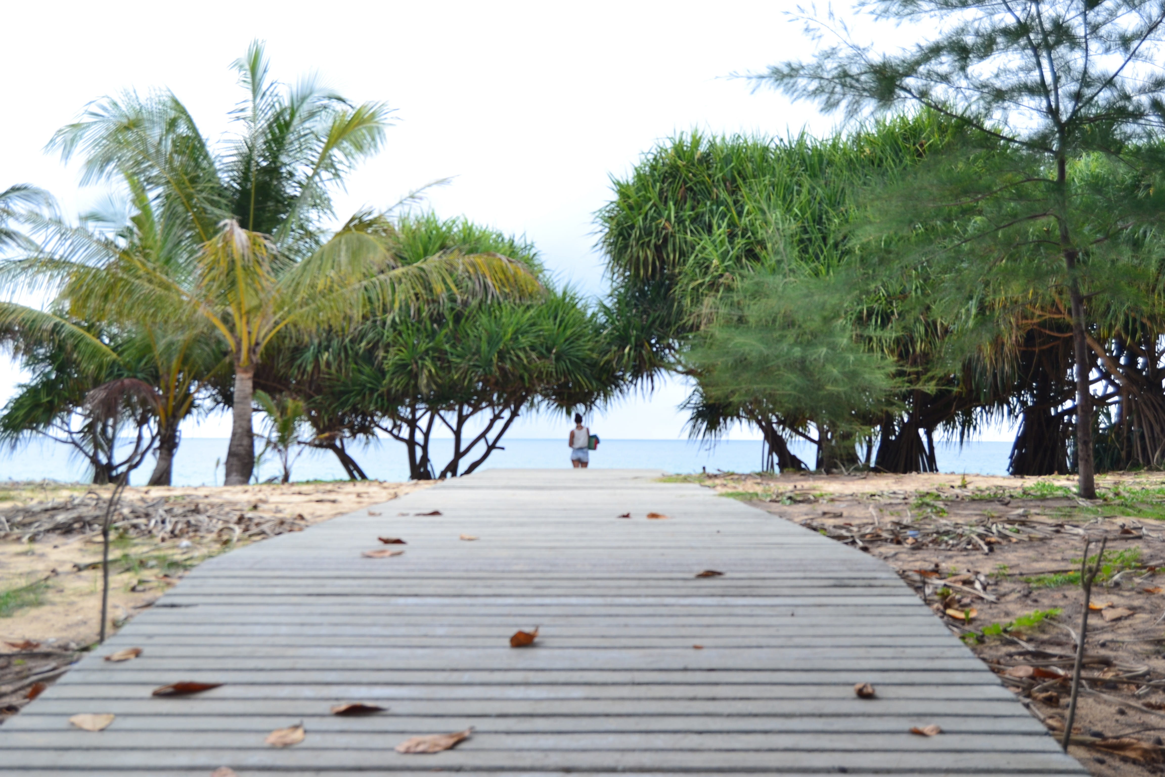 thailand, path, direction, beach, tree, walk, plant, sky, palm tree