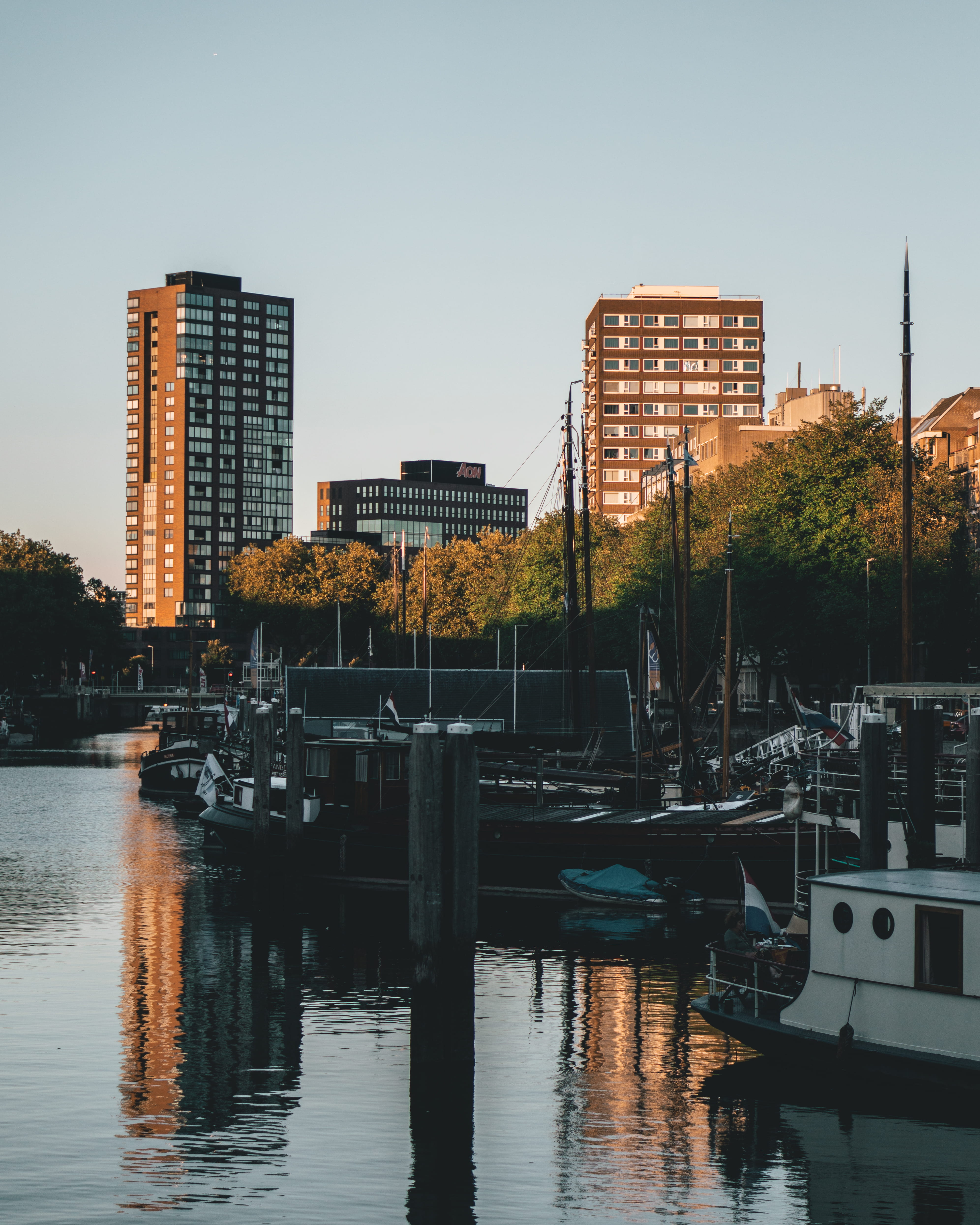 rotterdam, netherlands, phone wallpaper, sunrise, cozy, water