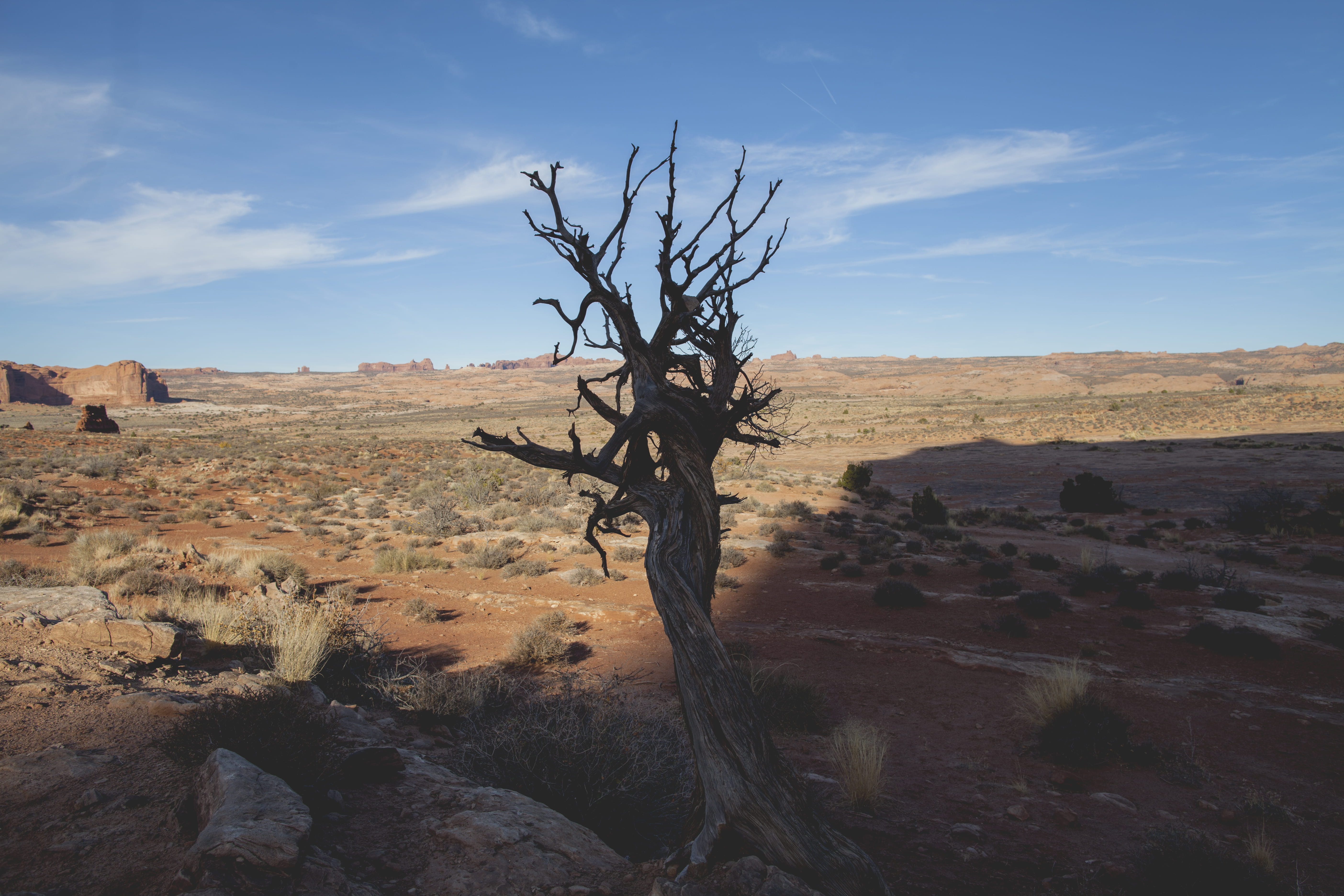 mountain, rock formation, tree, field, dirt, shadow, sky, environment
