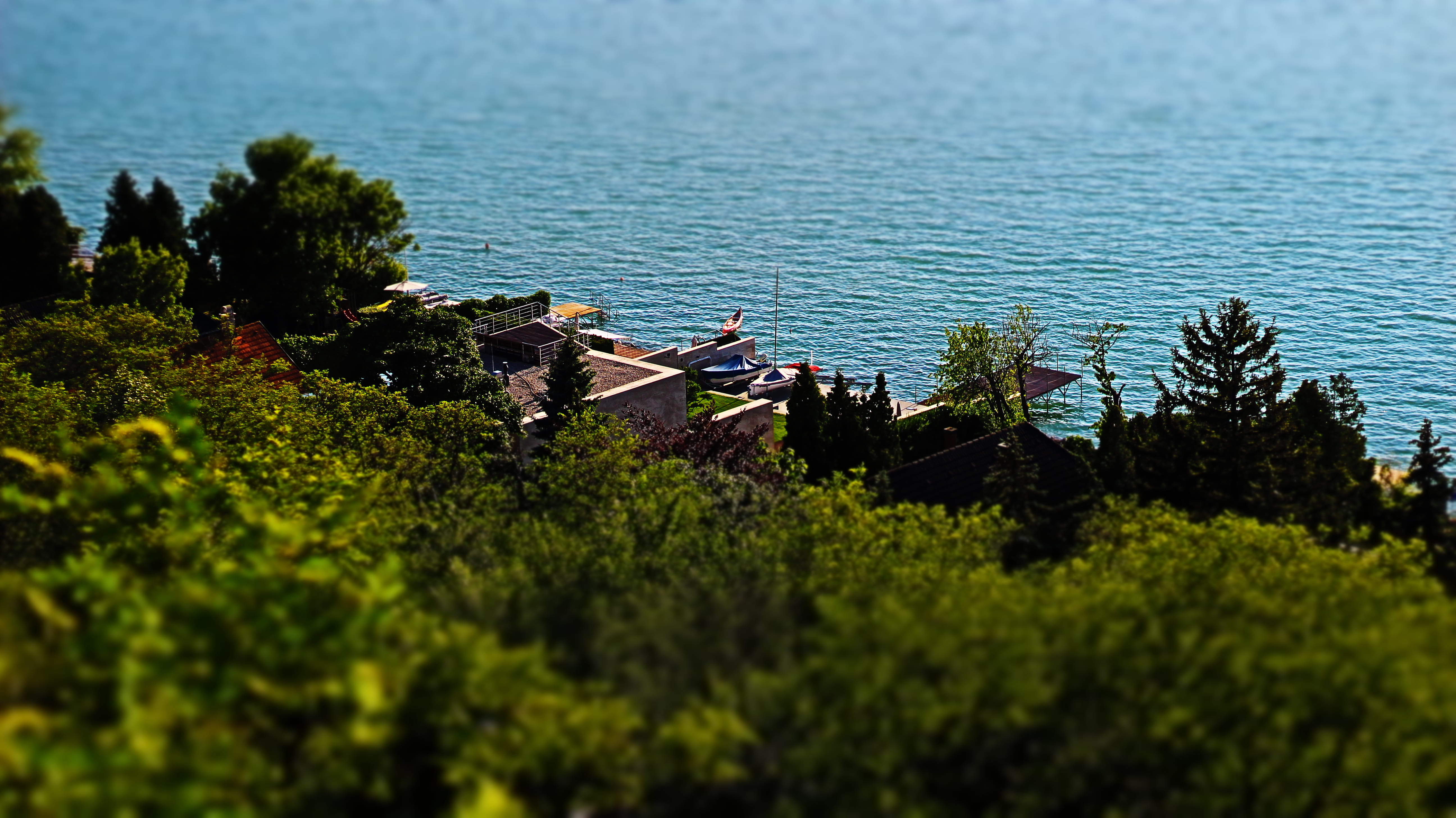 tilt shift, miniatures, plant, tree, architecture, built structure