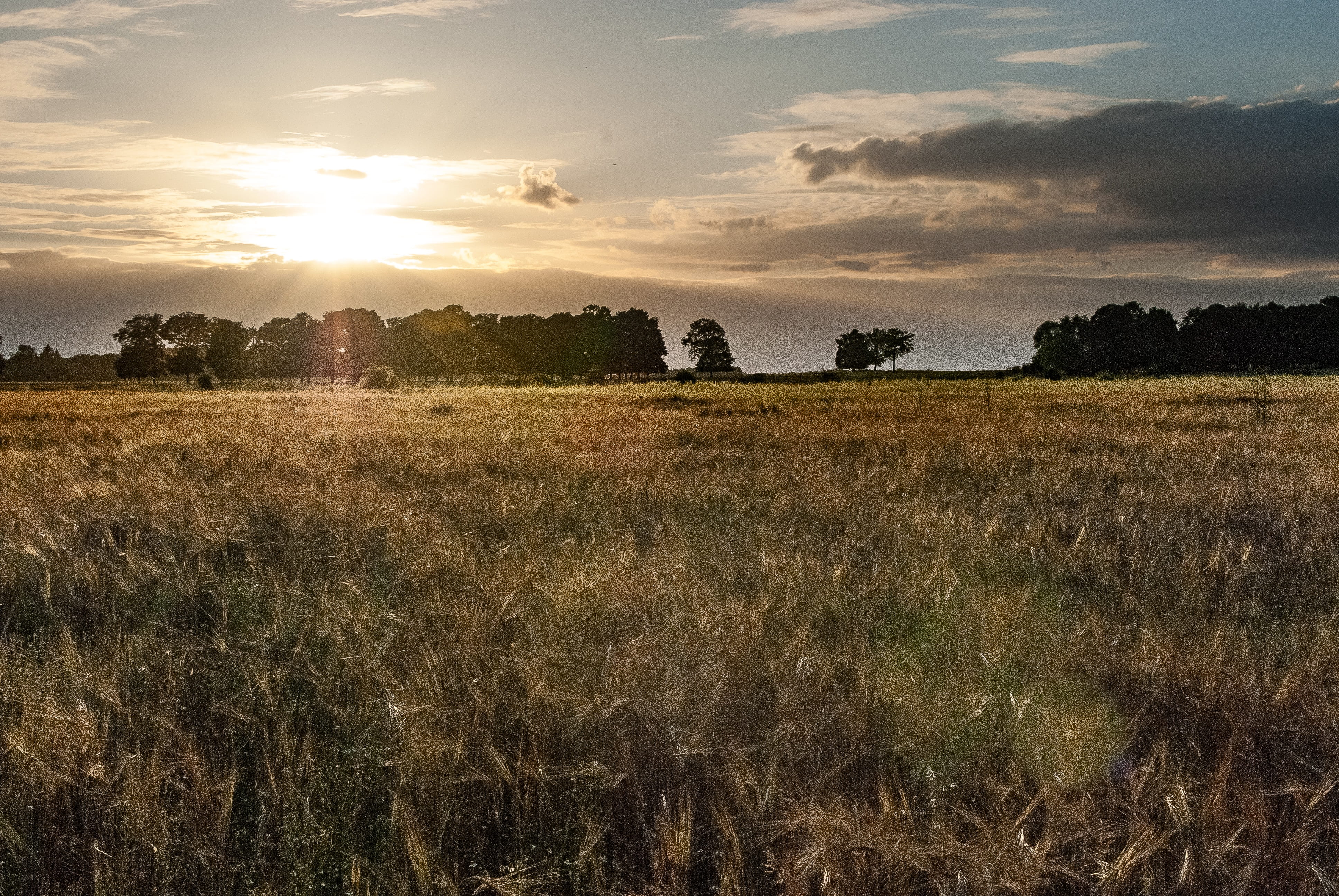 sunset, twilight, sky, nature, evening, landscape, clouds, fields