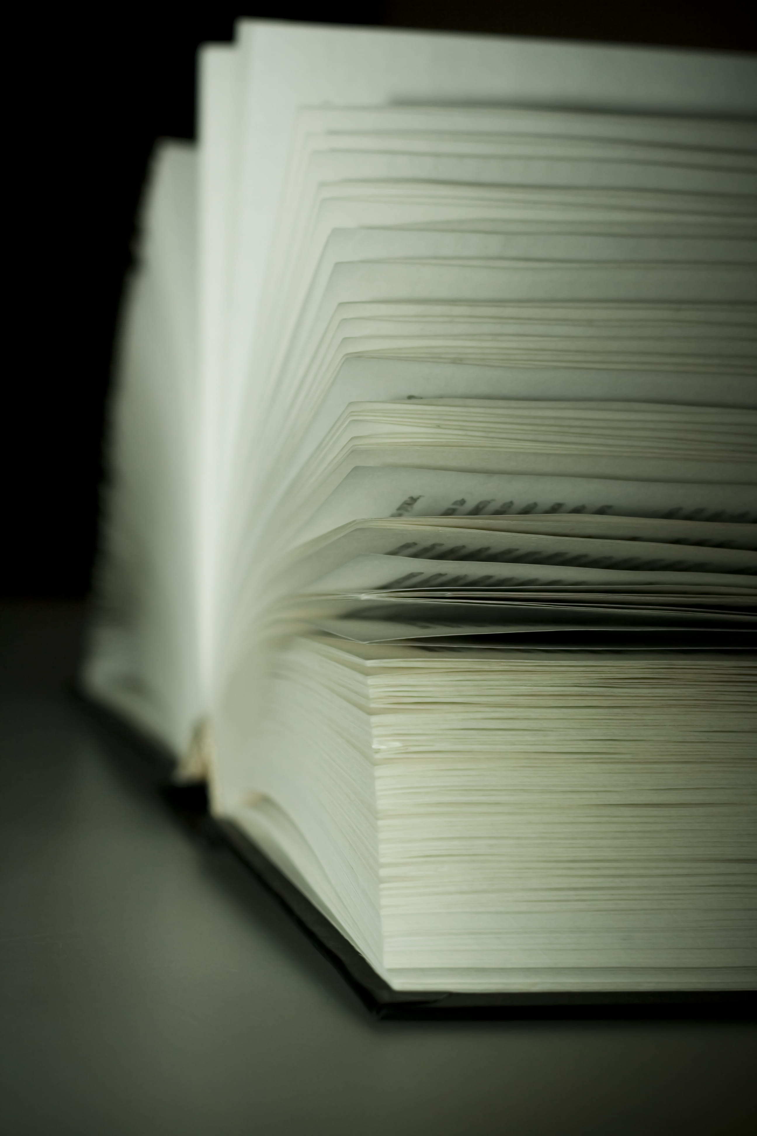 book, education, guidebook, knowledge, library, literacy, literature