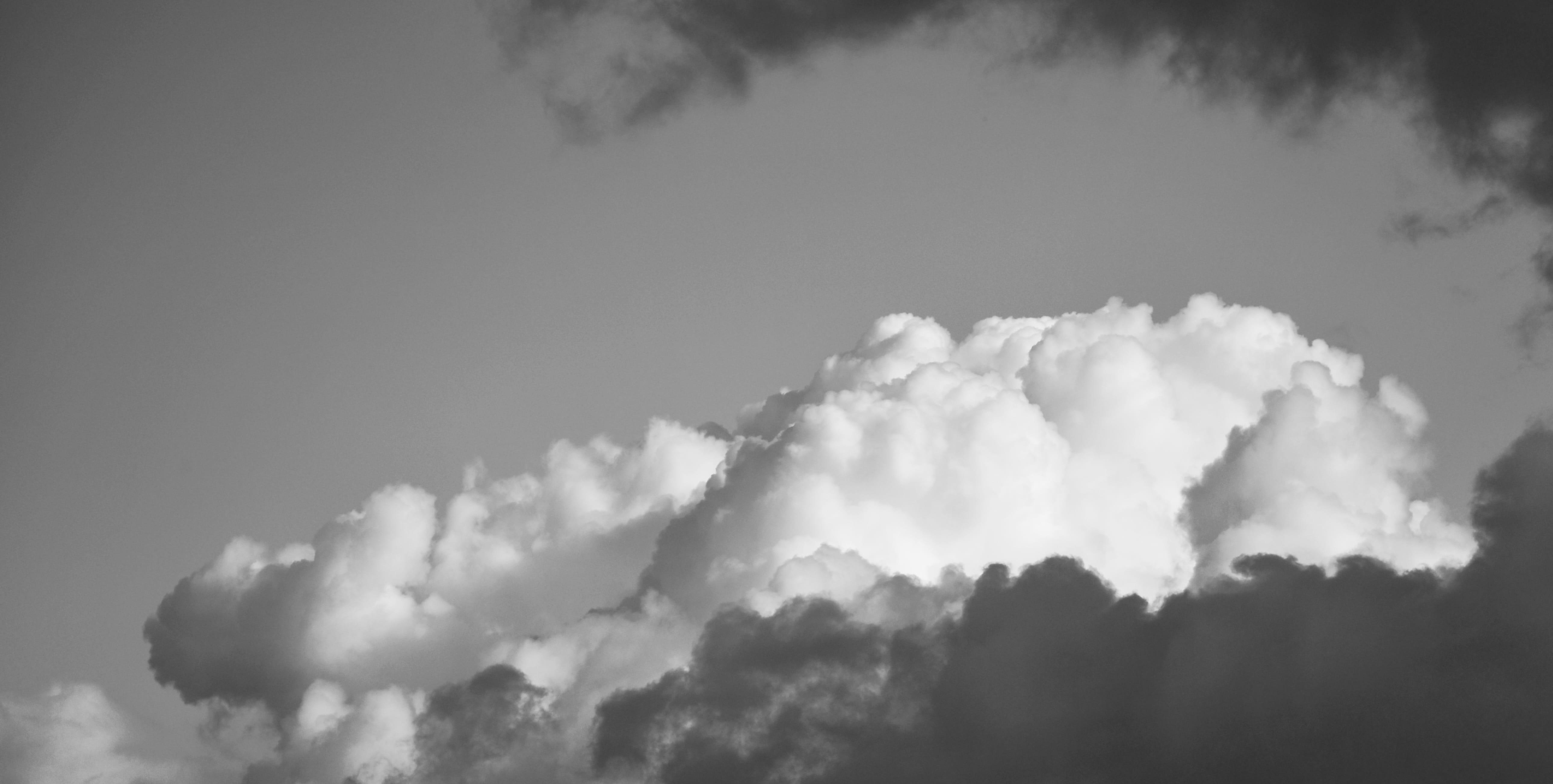 clouds, sky, white, blue, fluffy, dark, skyline, air, cloud - sky