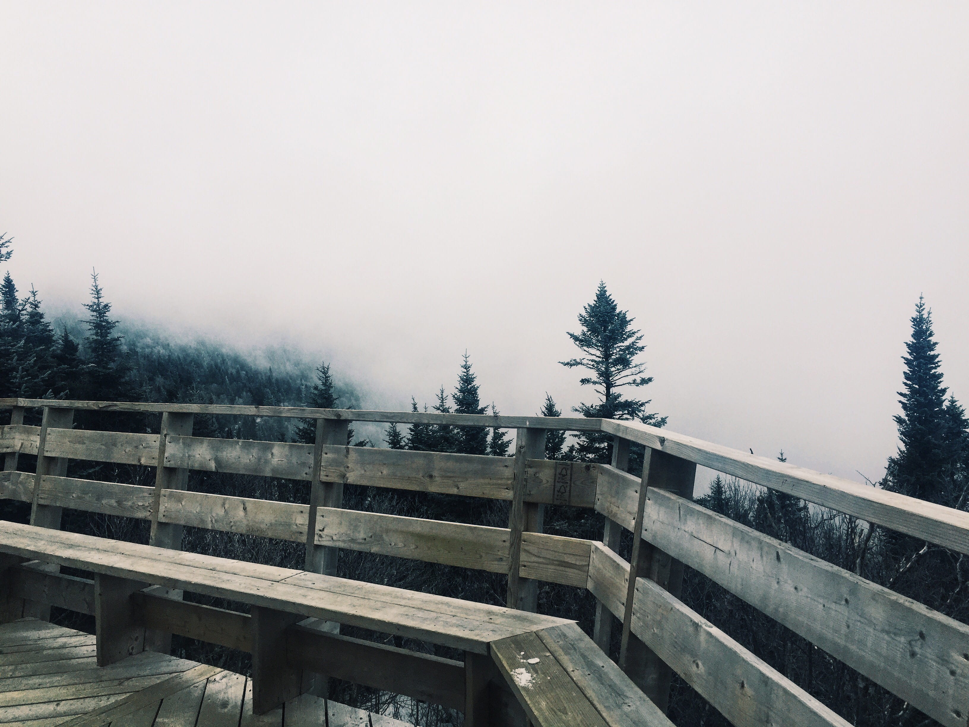 canada, sutton, mont sutton, cloud, cloudy, trees, snow, storm