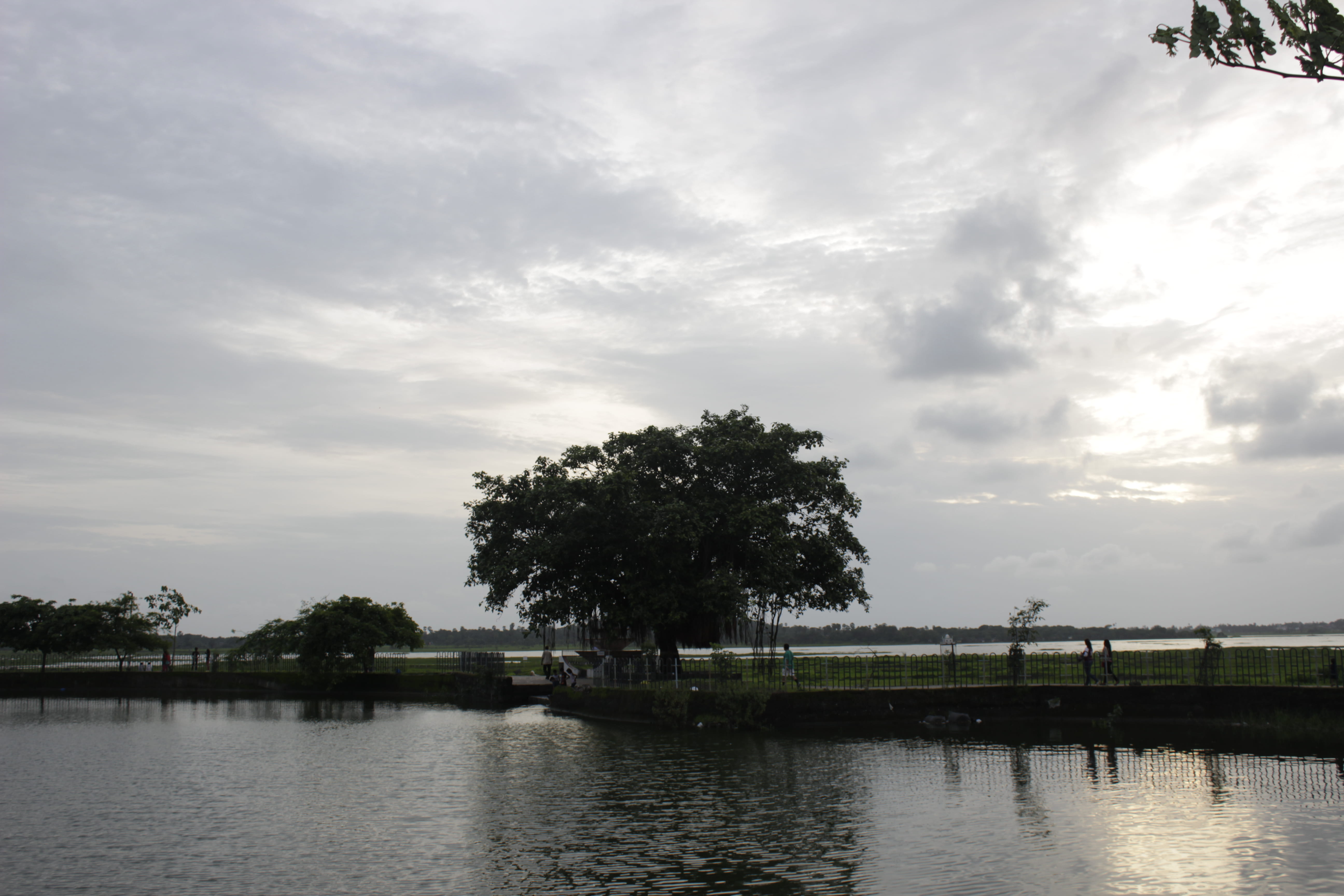 india, vasai, sky, pond, tree, alone tree, silhouette tree