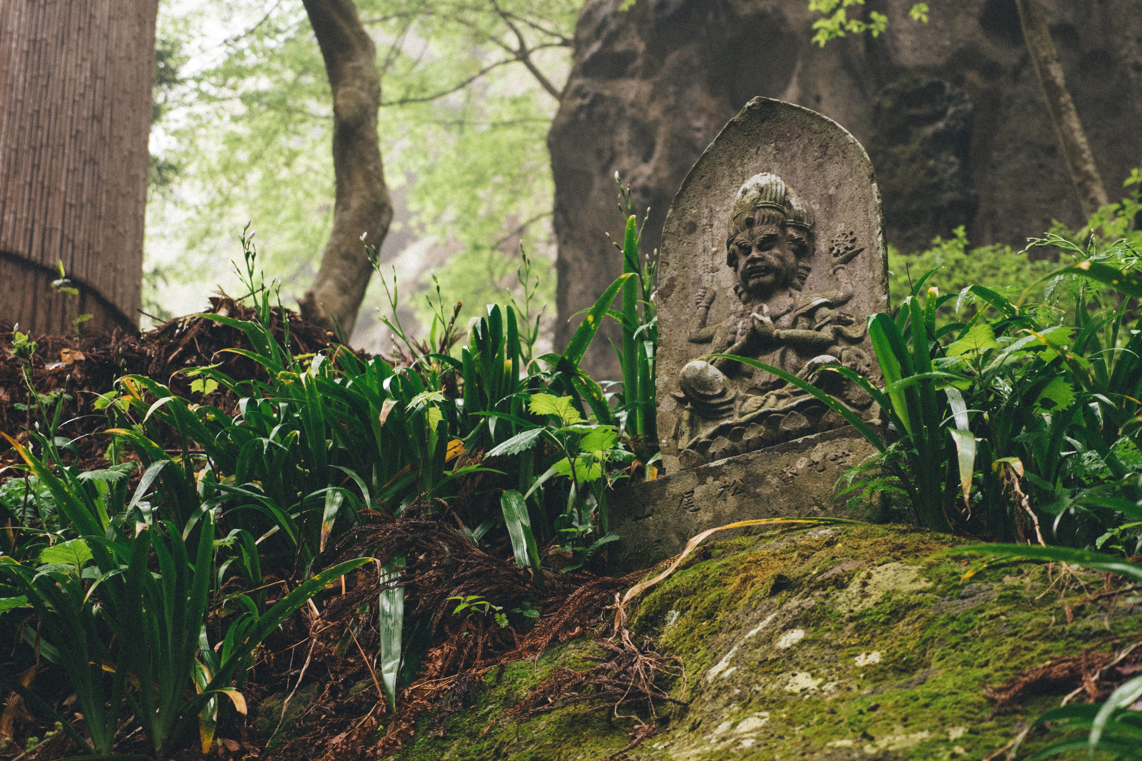 gray embossed statue surrounded by grass, plant, tree, growth