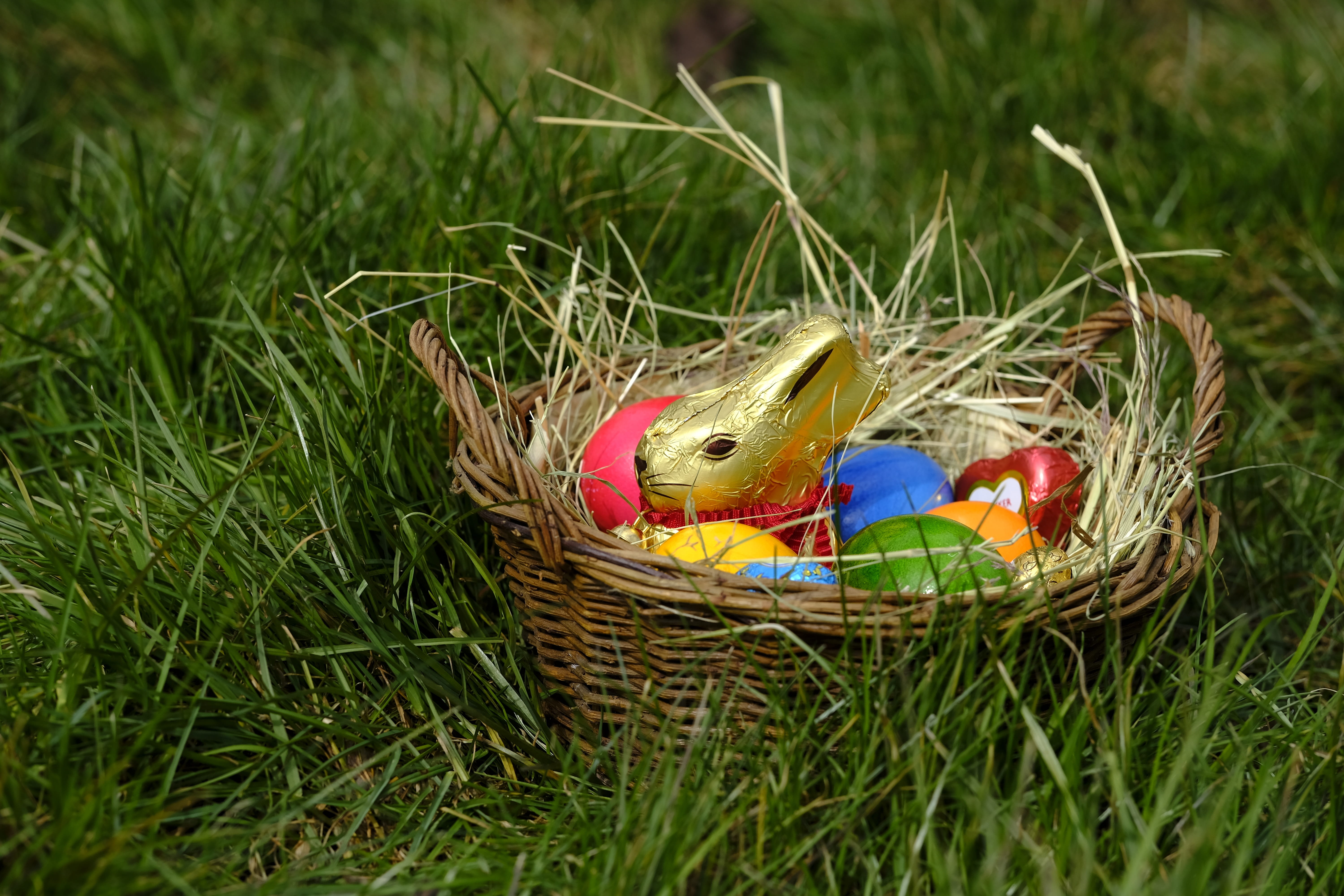 hare, easter bunny, easter eggs, easter nest, basket, figure