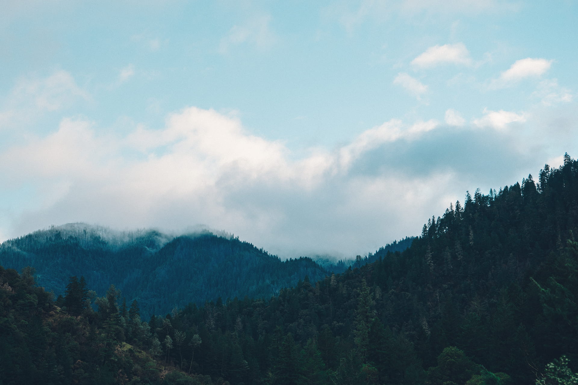Mountain Range Under White Clouds, firs, forest, trees, sky, cloud - sky
