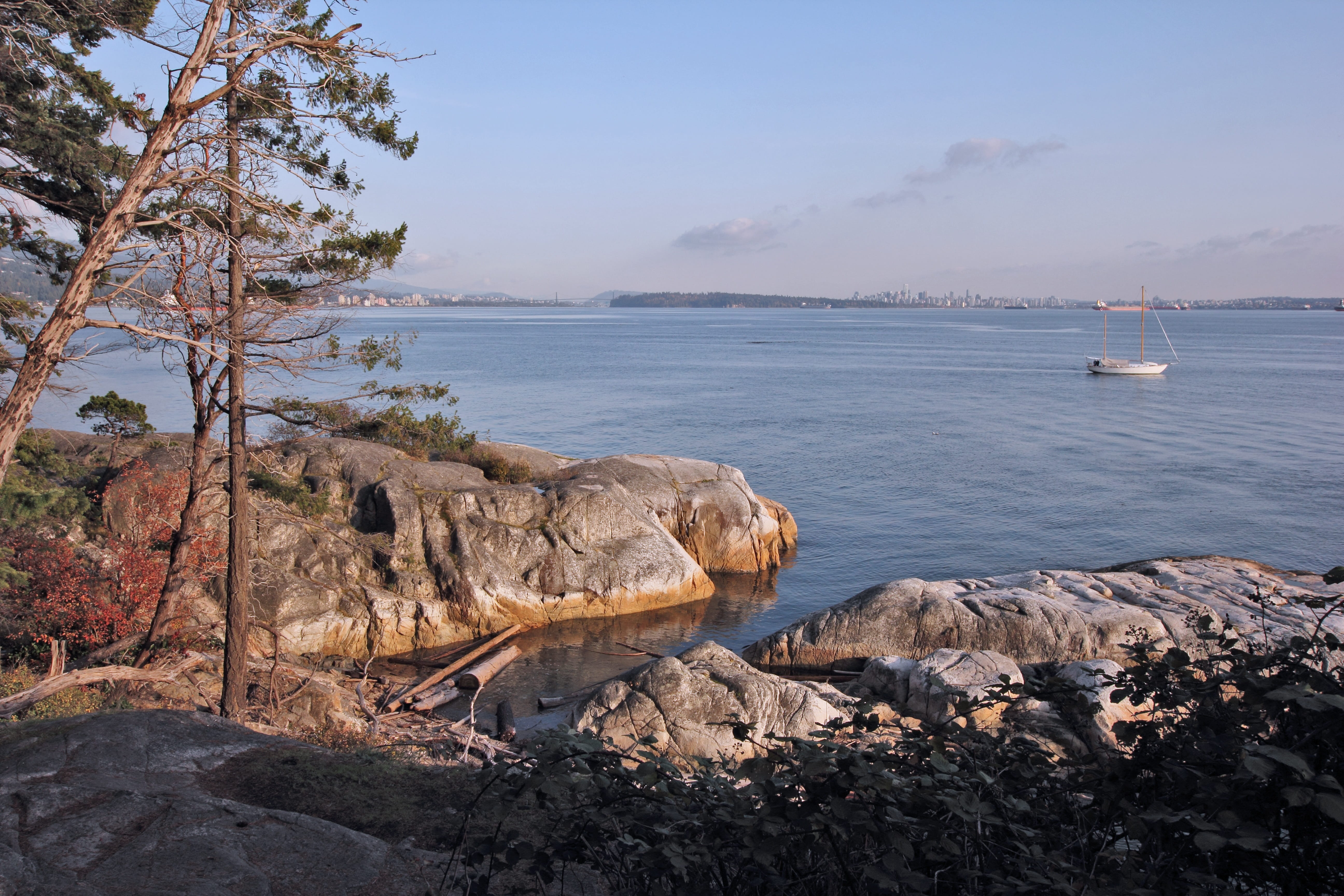 cliff, beach, ocean, water, sea, rock, rock - object, solid