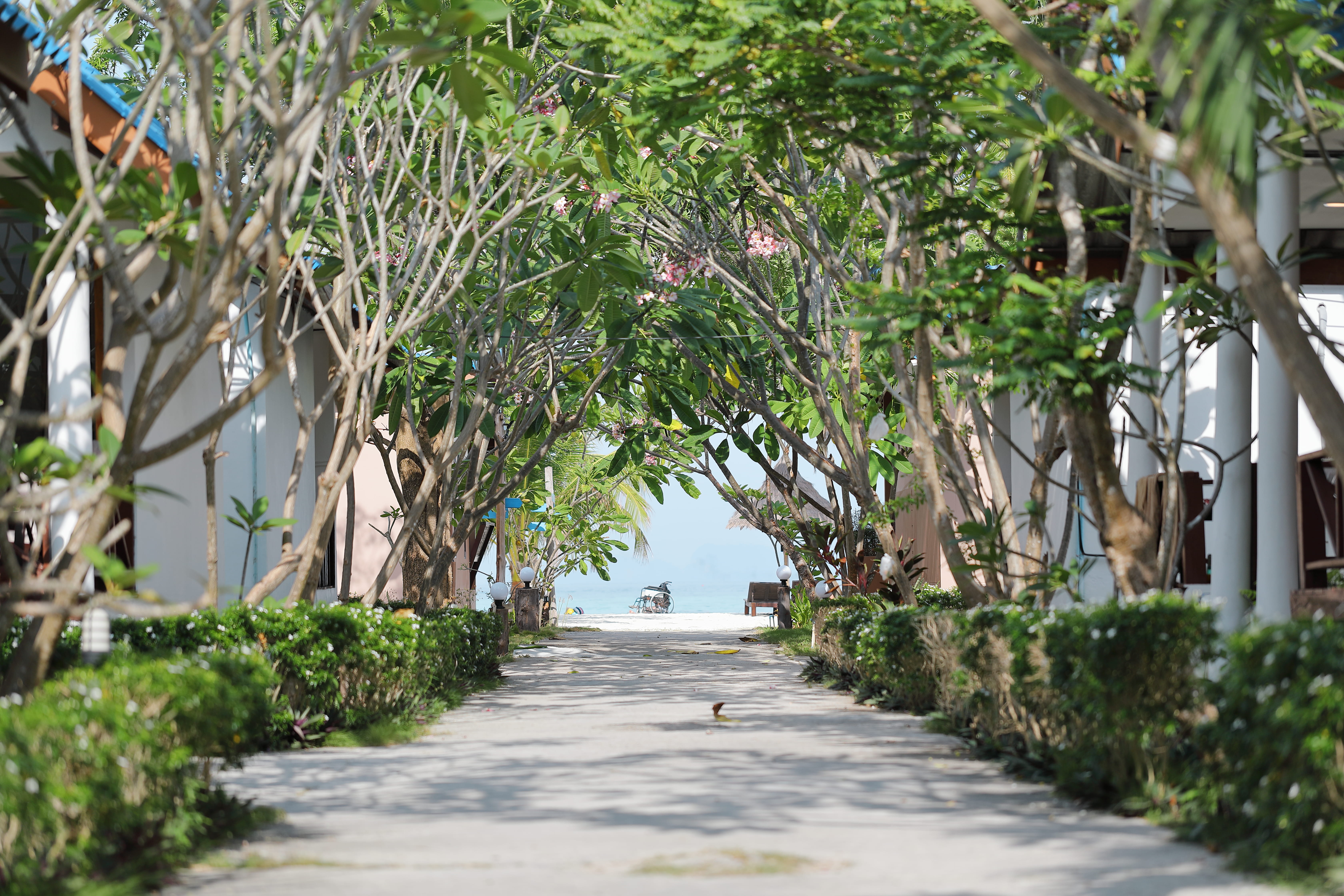 outdoors, garden, arbour, thailand, koh lipe, person, human