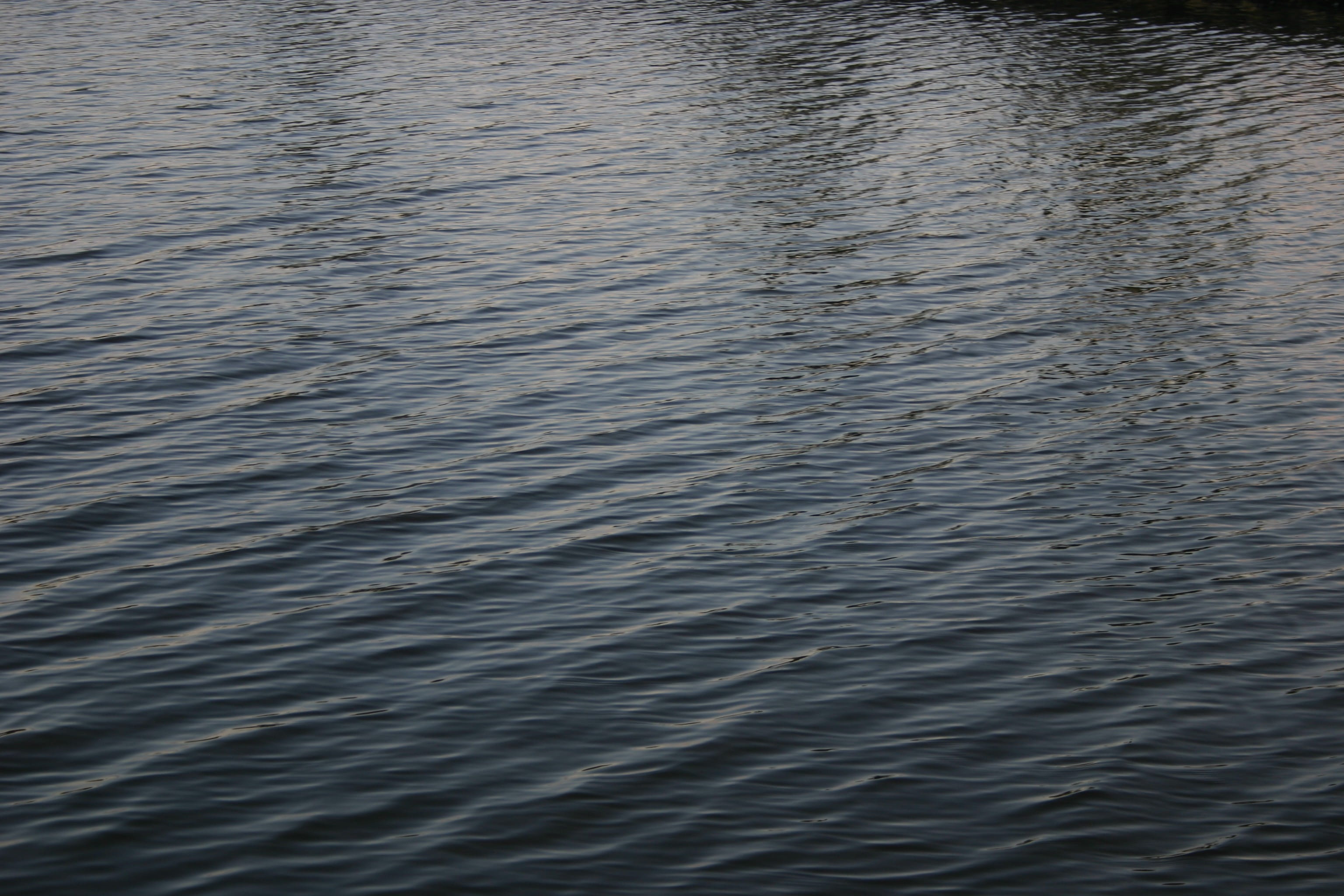 water, full frame, backgrounds, no people, rippled, waterfront