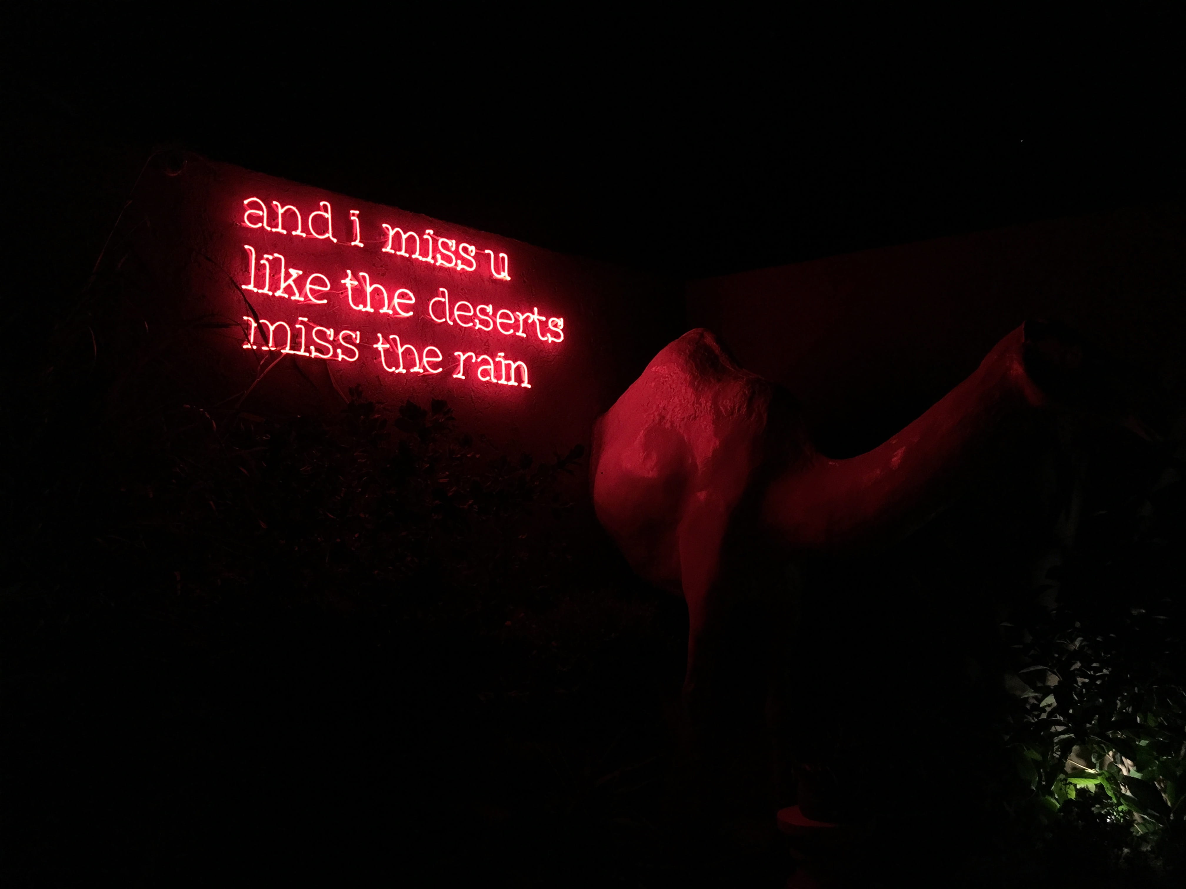 red quote neon sign, stuffed animal, light, dark, night, evening