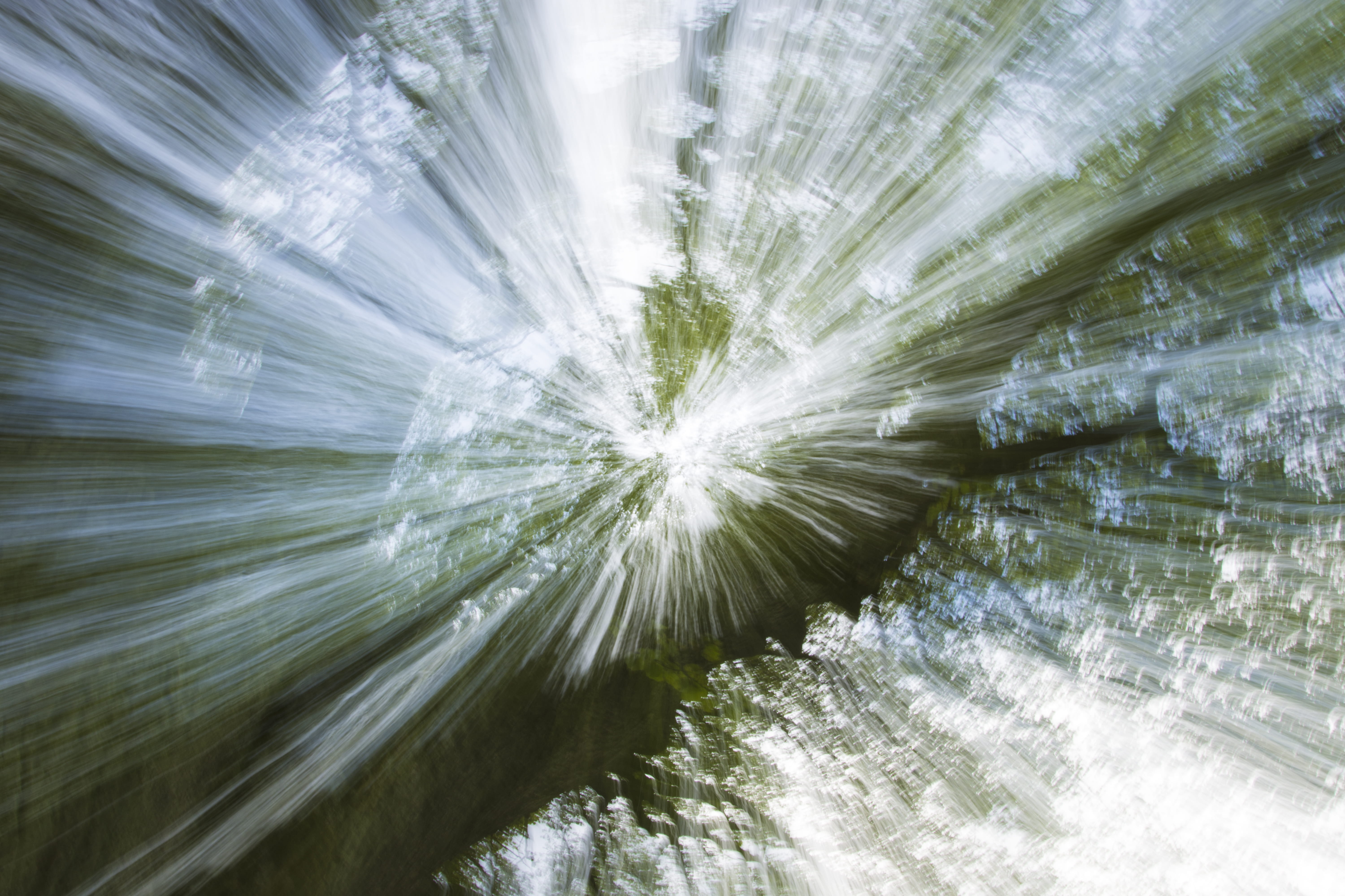 tree, light, lightbeam, movement, shadow, dynamic, motion, radiation