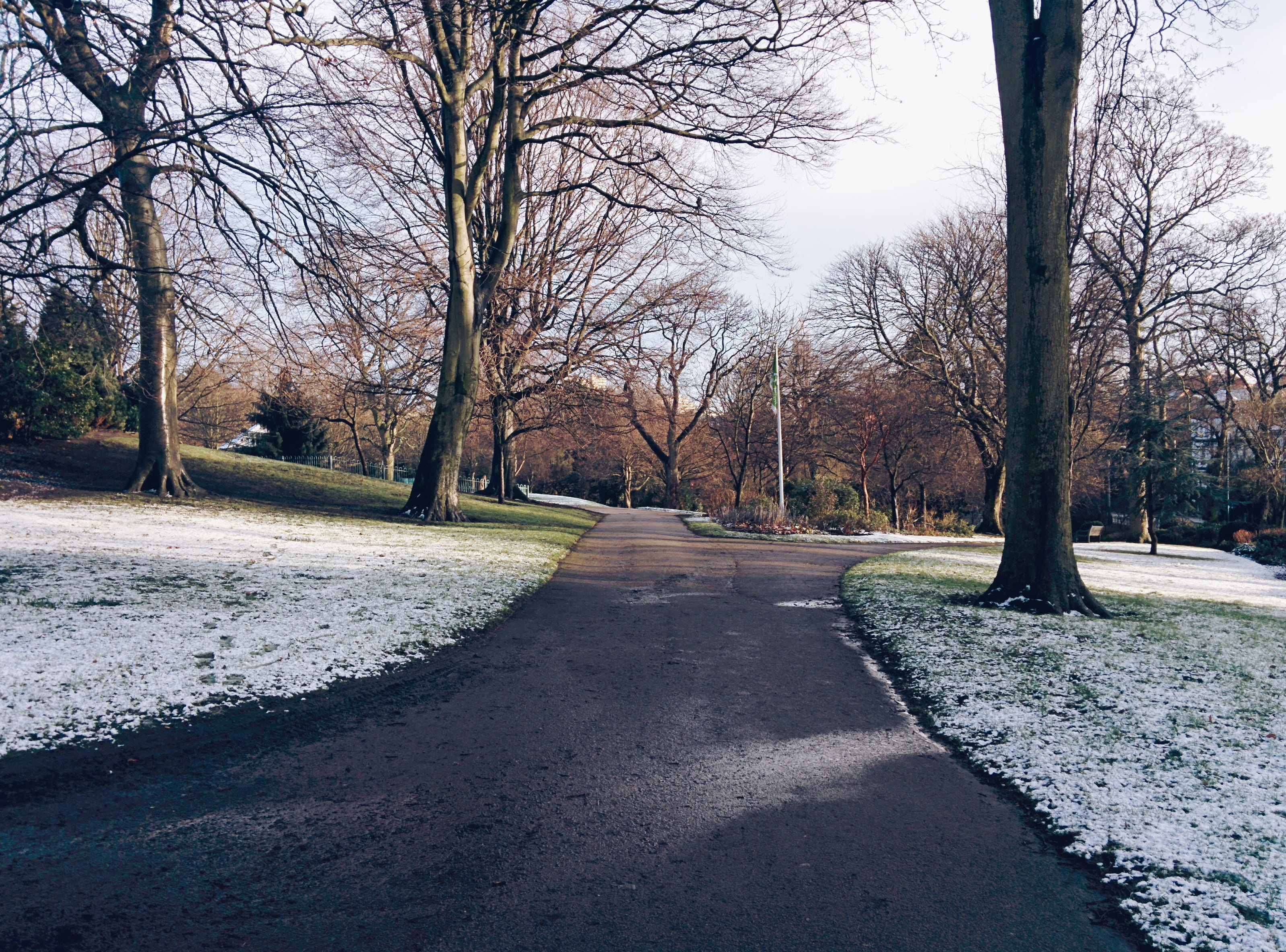 trees, path, pathway, snow, frost, sky, clouds, winter, nottingham