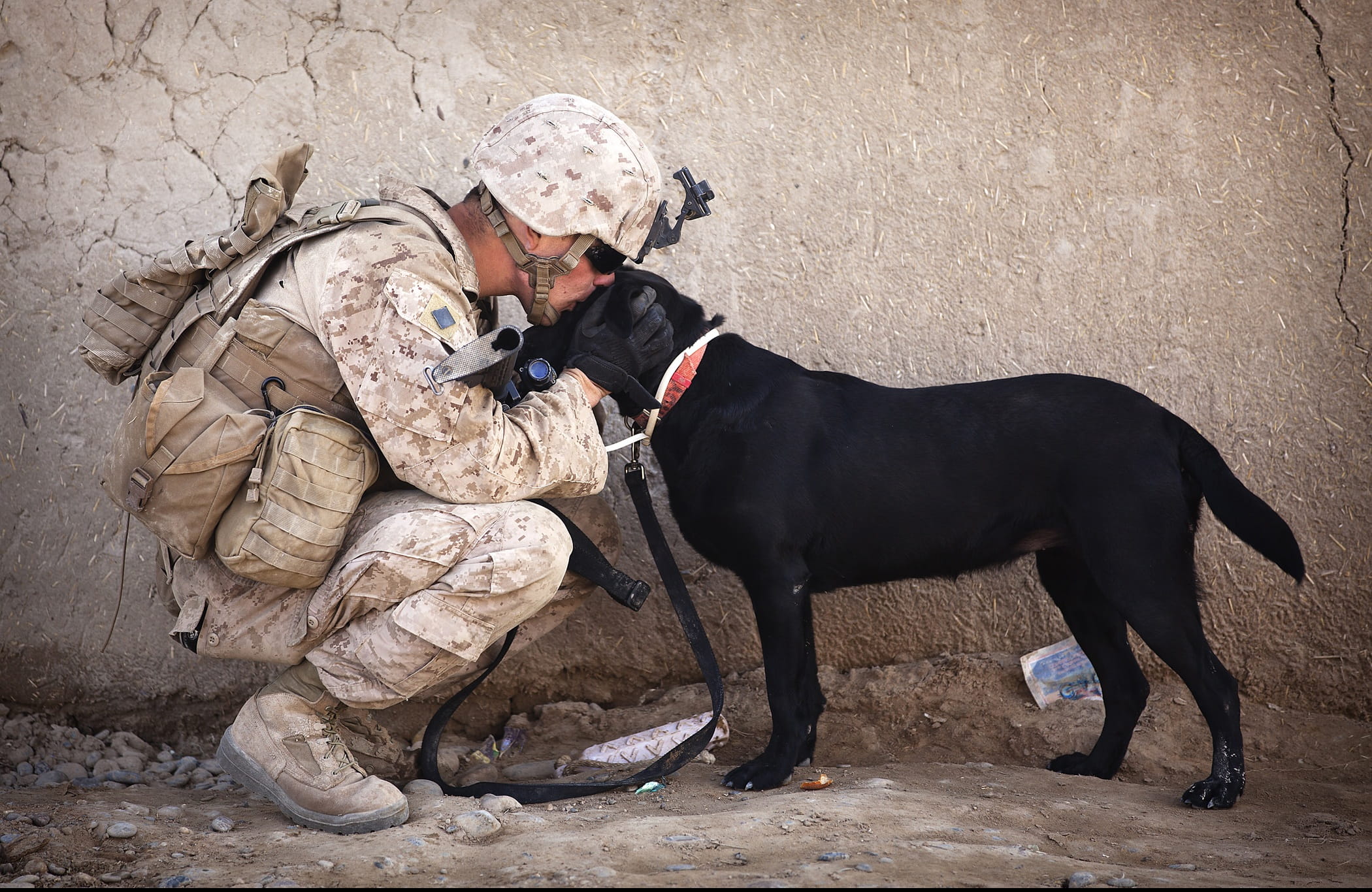 Soldier and Black Dog Cuddling, army, canine, company, help, love