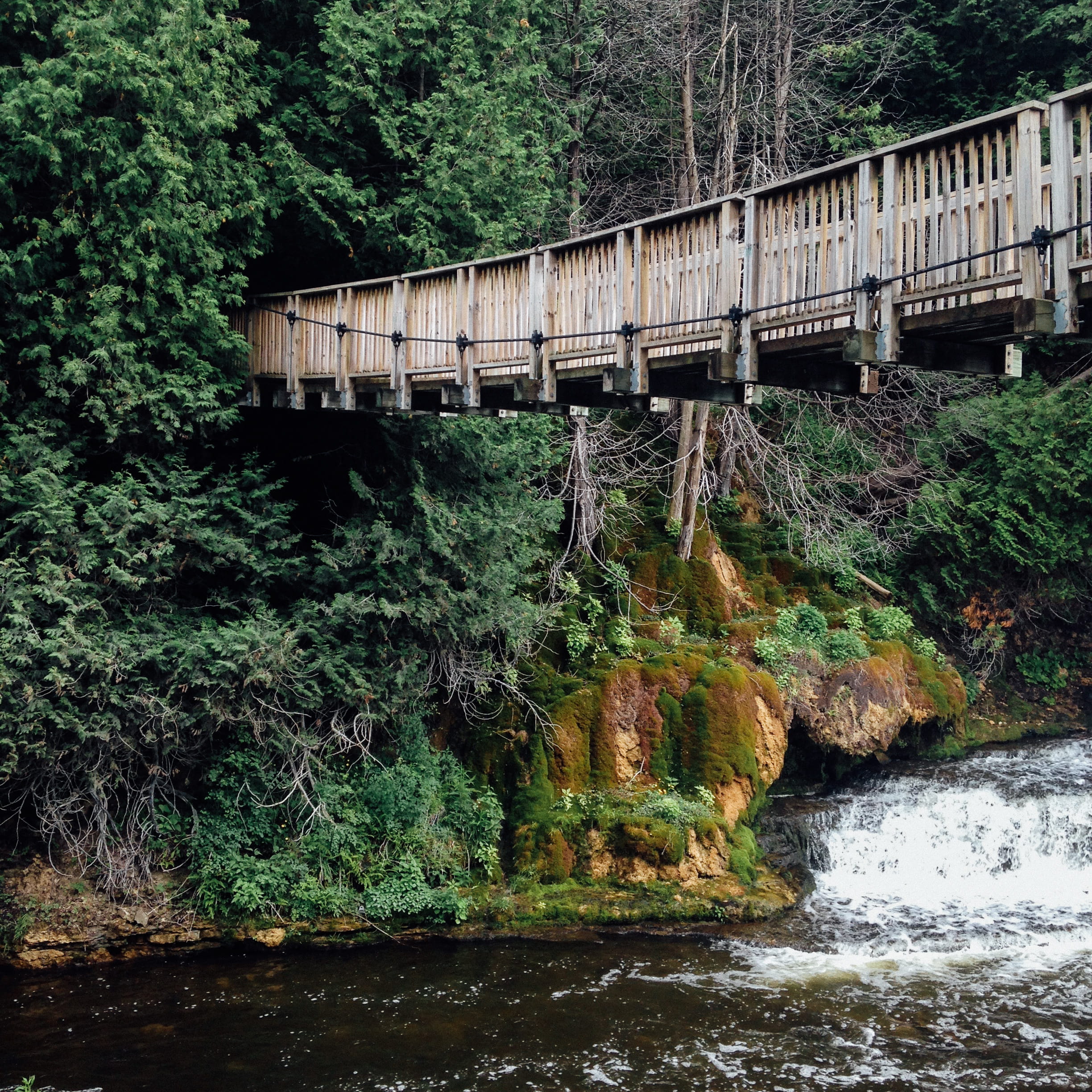 waterfall, forest, trees, bridge, connection, built structure