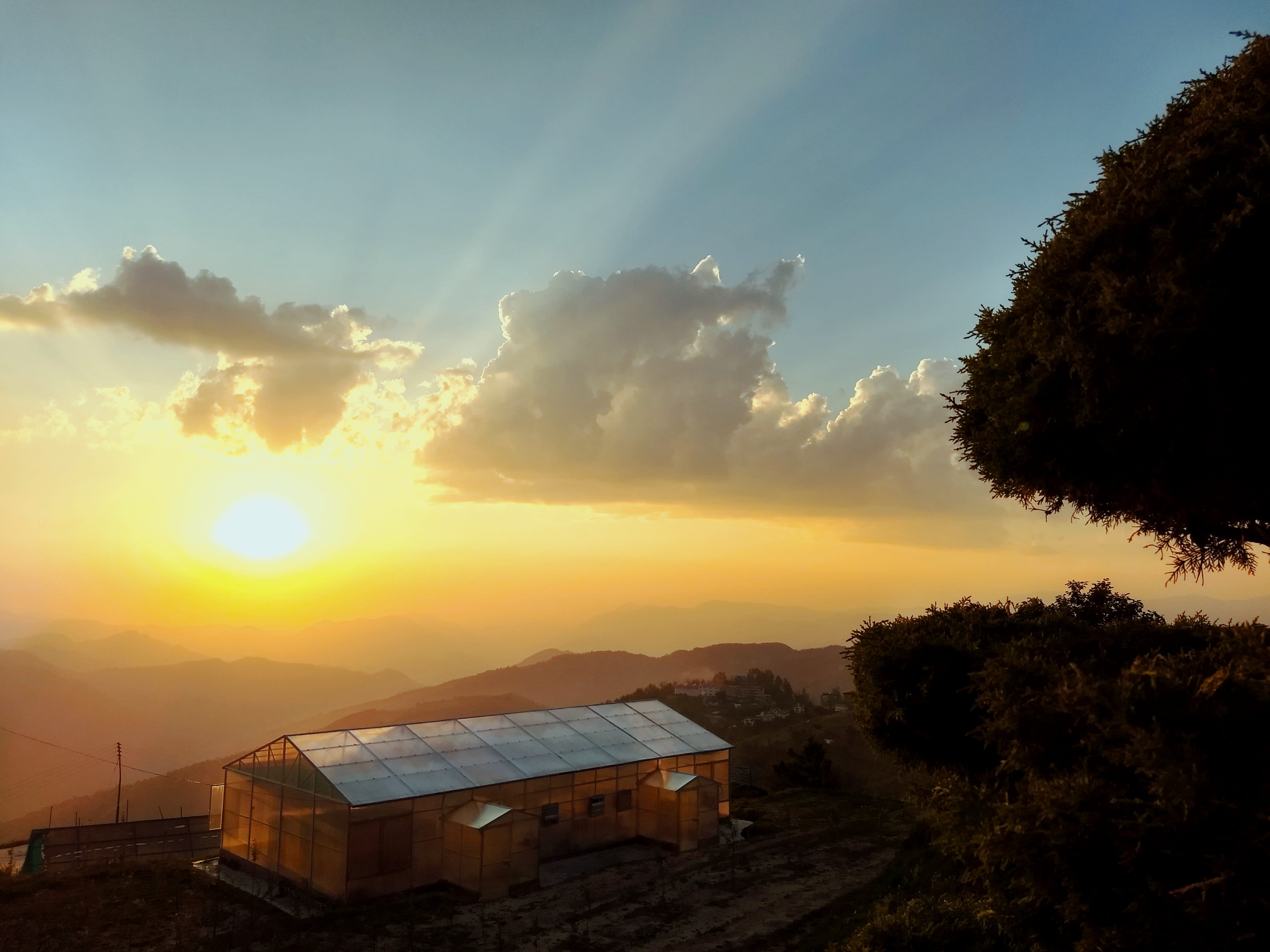 india, shimla, apple gardens, cool, weather, comfy, pleasant