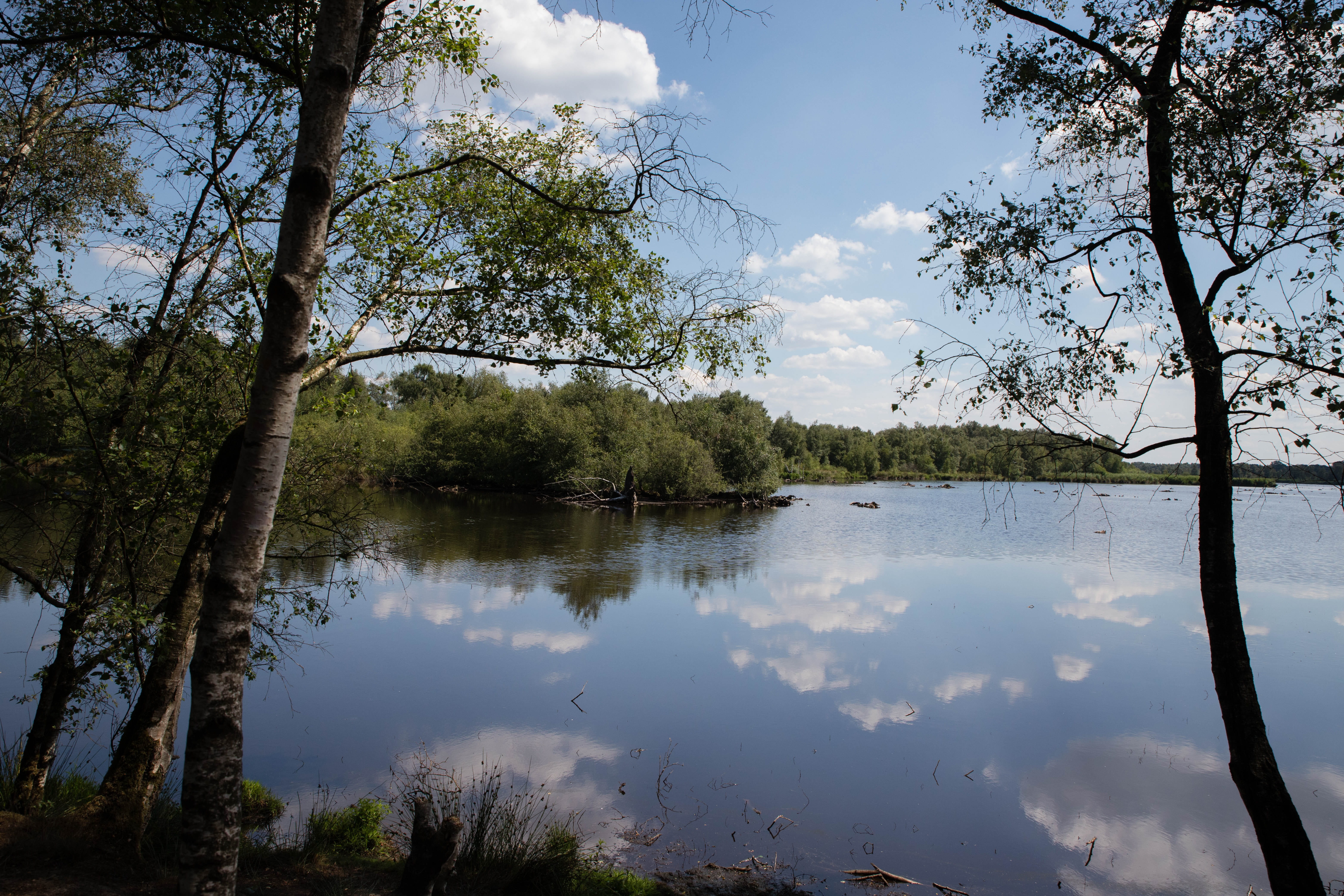 more, water, trees clouds, reflection, landscape, waters, nature