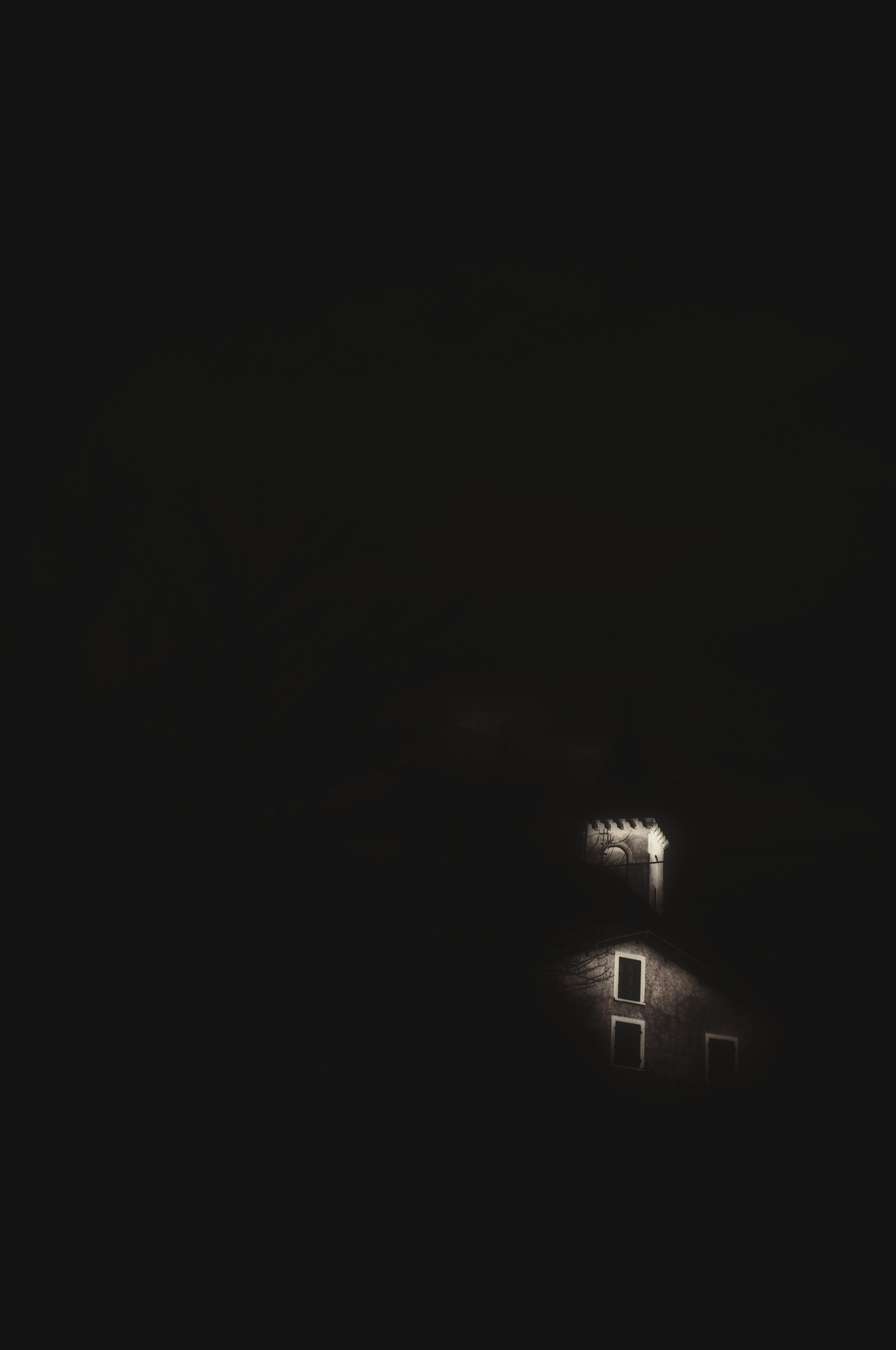 black and gray computer mouse, nature, outdoors, building, tower