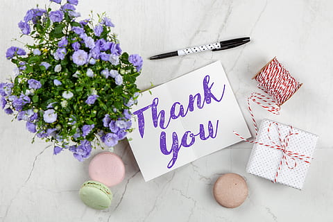 Purple Petaled Flower and Thank You Card, bloom, blooming, blossom HD wallpaper
