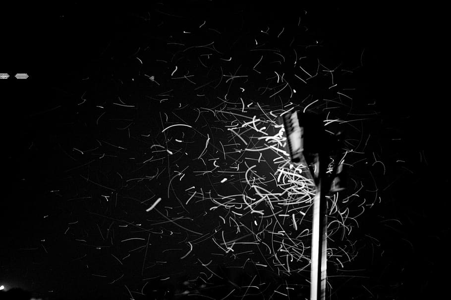 Black Street Post, black-and-white, blur, dark, light, monochrome HD wallpaper