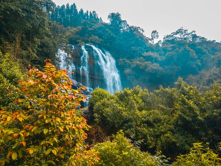 Cascading Waterfalls in Between Trees, beautiful, daylight, environment HD wallpaper