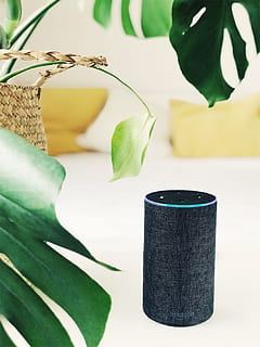 2nd. gen black Amazon Echo speaker on white panel, smart speaker HD wallpaper